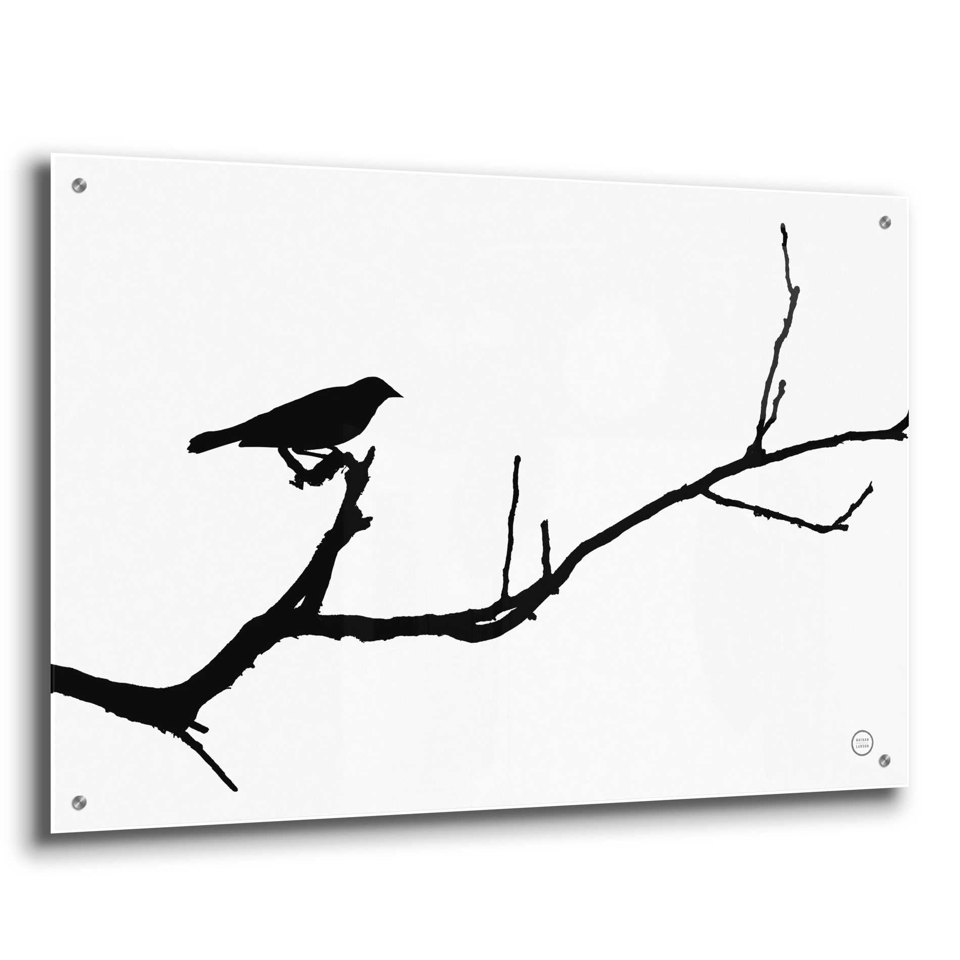 Epic Art 'Bird Silhouette' by Nathan Larson, Acrylic Glass Wall Art,36x24