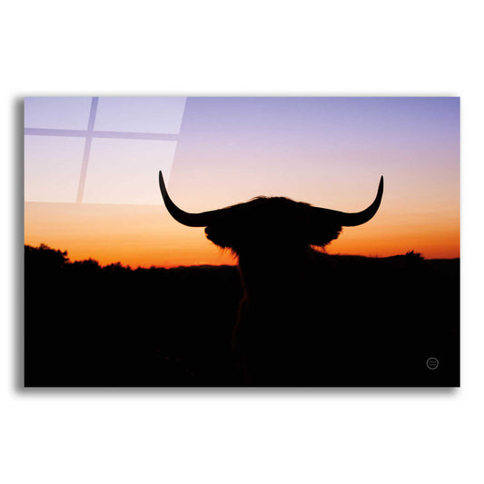 Epic Art 'Bull Set' by Nathan Larson, Acrylic Glass Wall Art,18x12x1.1x0,26x18x1.1x0,40x26x1.74x0,60x40x1.74x0