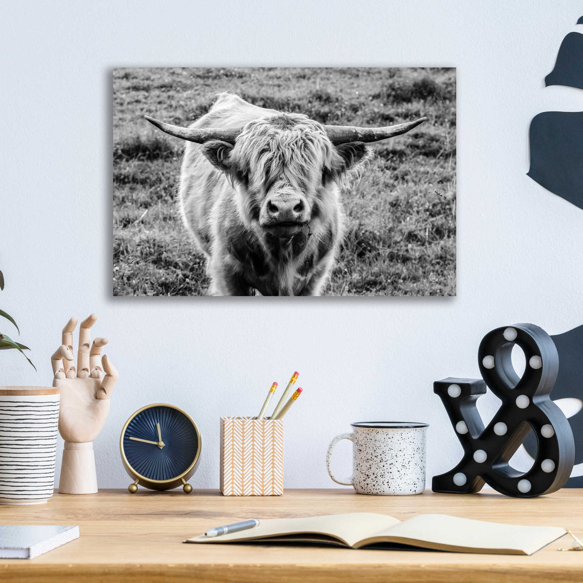 Epic Art 'Highland Cow Staring Contest' by Nathan Larson, Acrylic Glass Wall Art,16x12