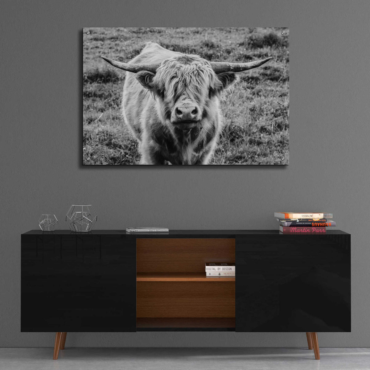 Epic Art 'Highland Cow Staring Contest' by Nathan Larson, Acrylic Glass Wall Art,36x24