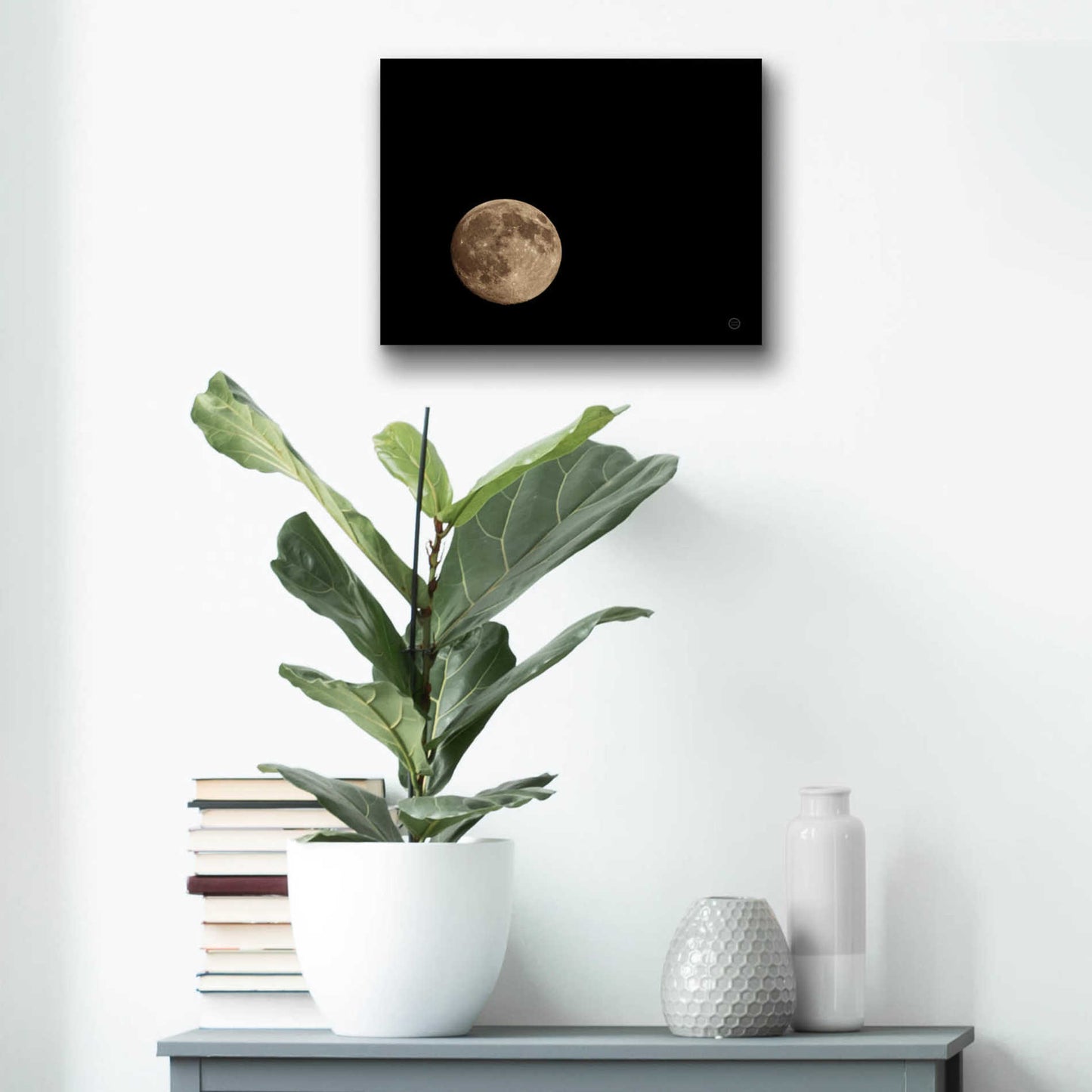 Epic Art 'Moon Detail II' by Nathan Larson, Acrylic Glass Wall Art,16x12