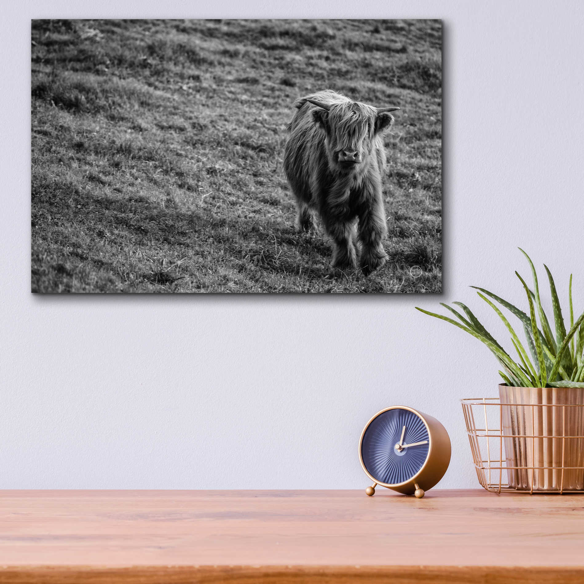 Epic Art 'Highland Cow Calf in the Wind' by Nathan Larson, Acrylic Glass Wall Art,16x12