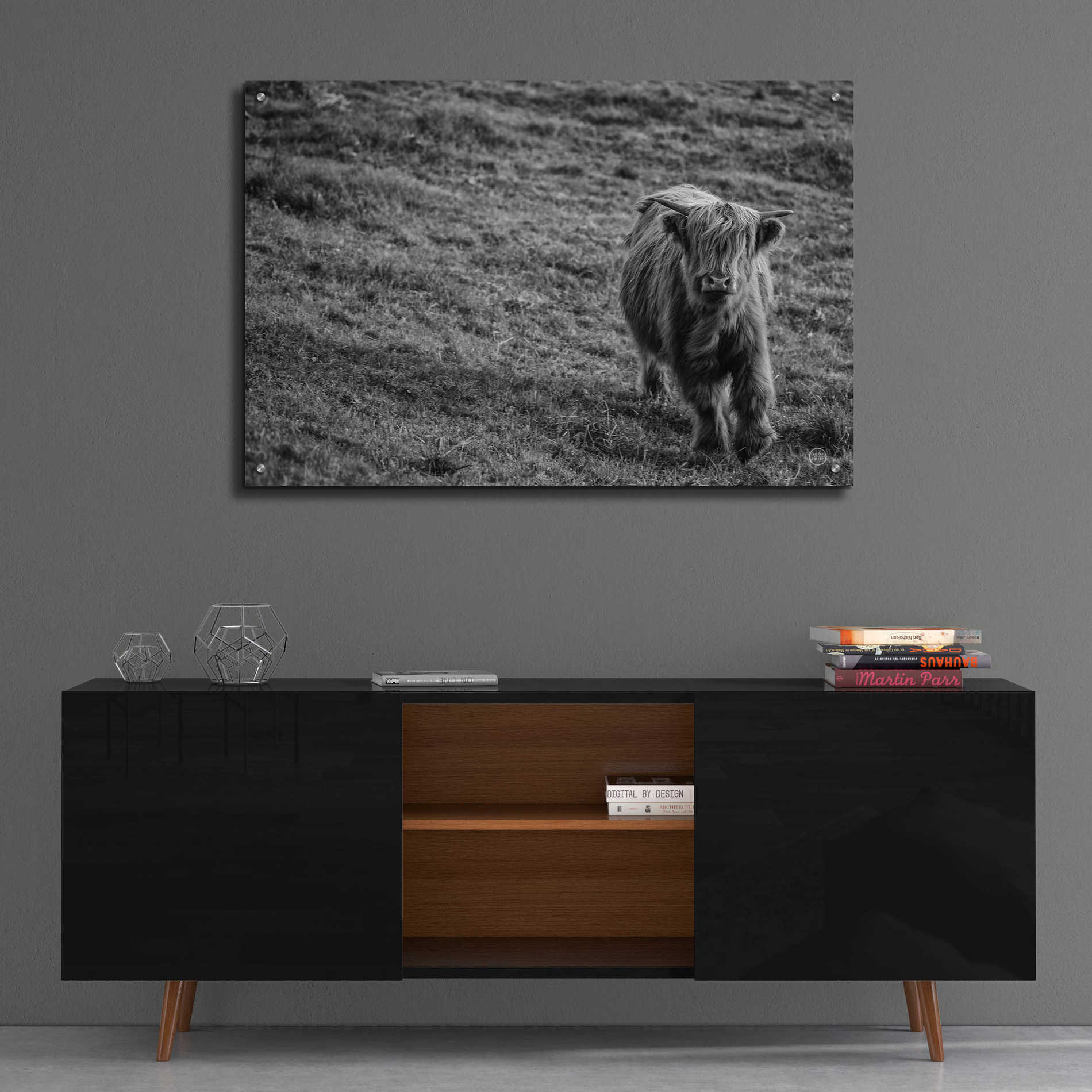 Epic Art 'Highland Cow Calf in the Wind' by Nathan Larson, Acrylic Glass Wall Art,36x24