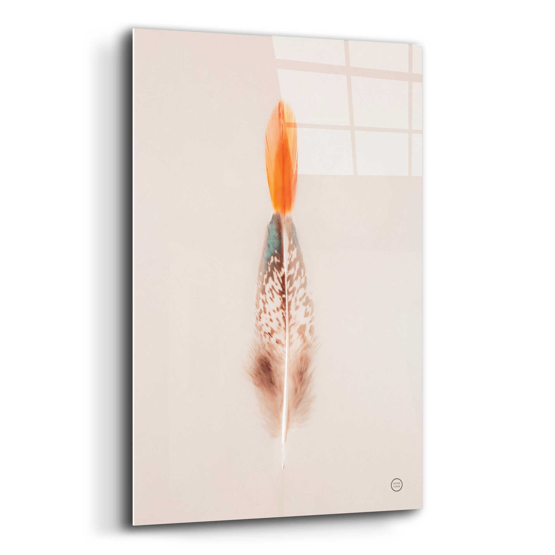 Epic Art 'Floating Feathers I' by Nathan Larson, Acrylic Glass Wall Art,12x16
