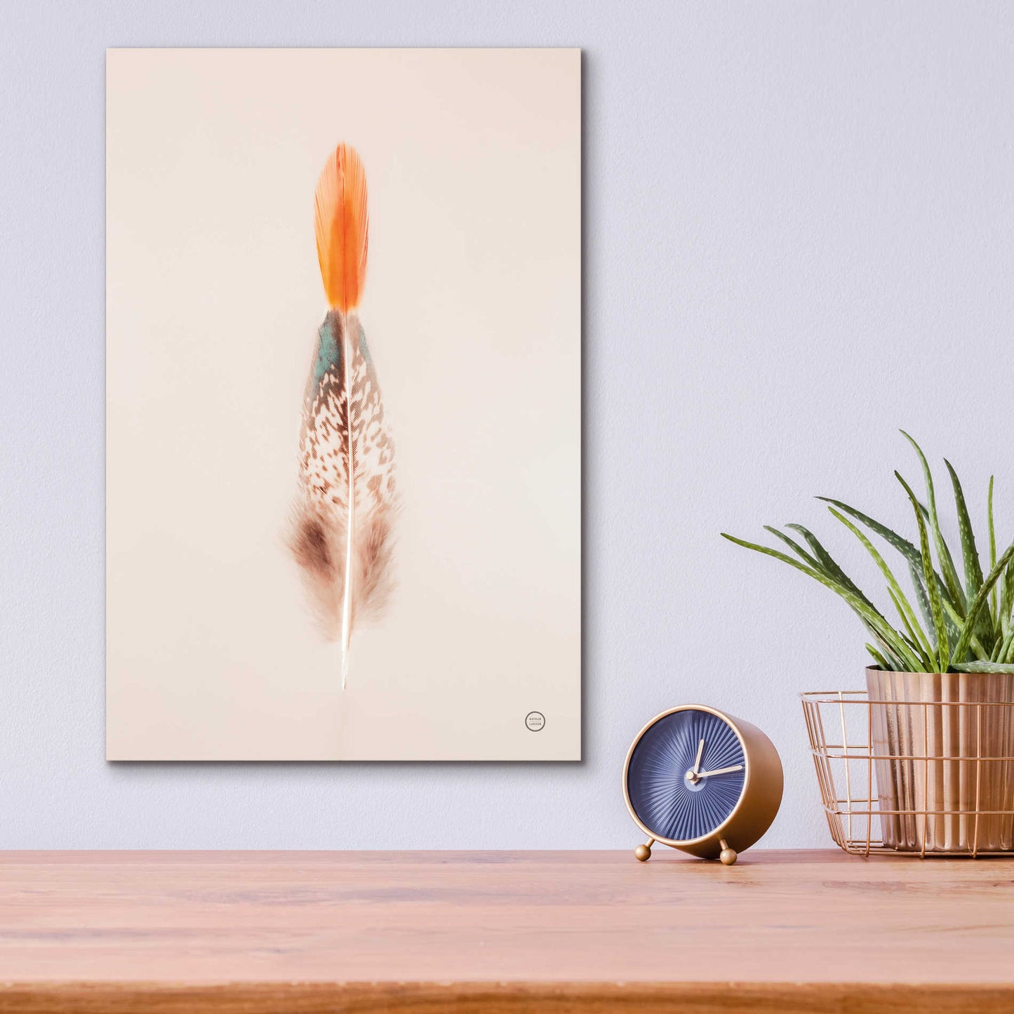 Epic Art 'Floating Feathers I' by Nathan Larson, Acrylic Glass Wall Art,12x16