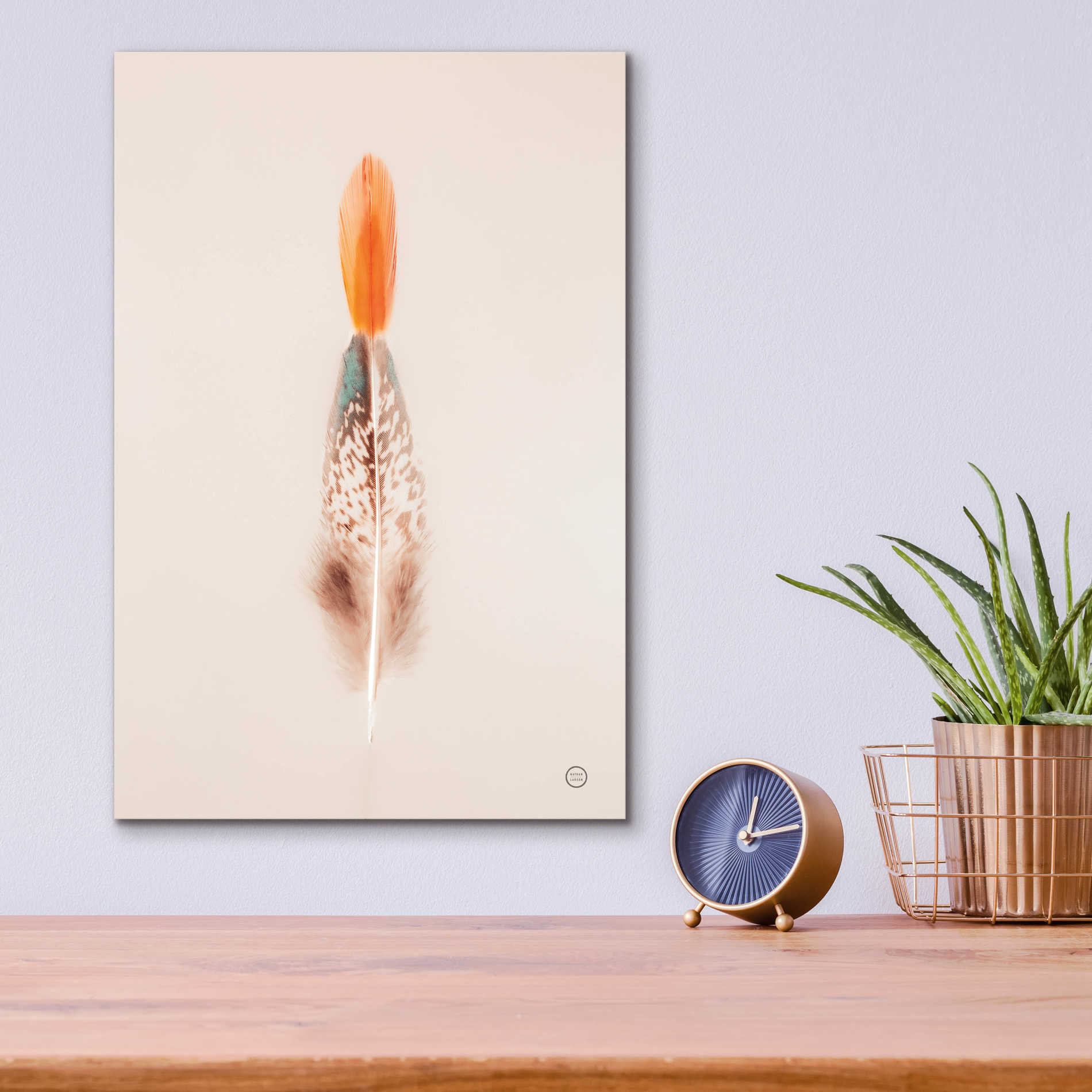 Epic Art 'Floating Feathers I' by Nathan Larson, Acrylic Glass Wall Art,12x16