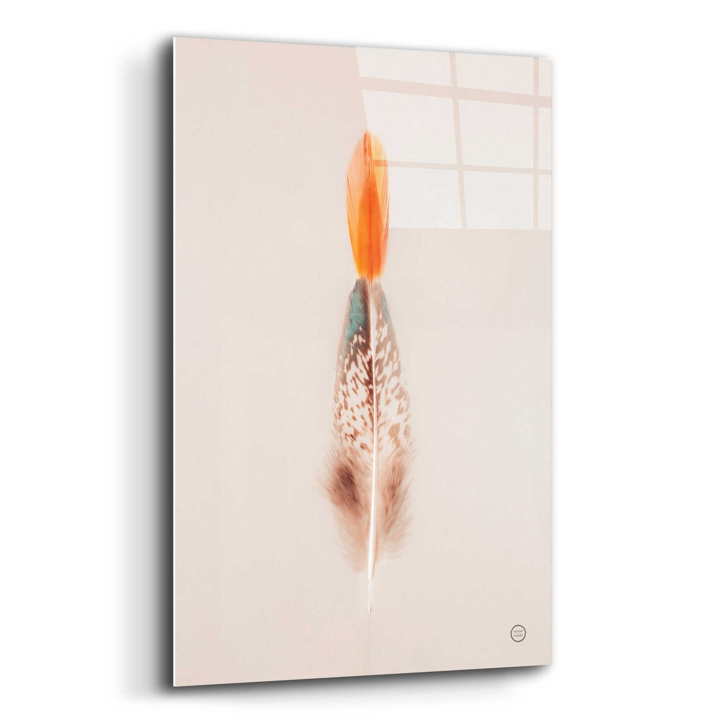 Epic Art 'Floating Feathers I' by Nathan Larson, Acrylic Glass Wall Art,16x24