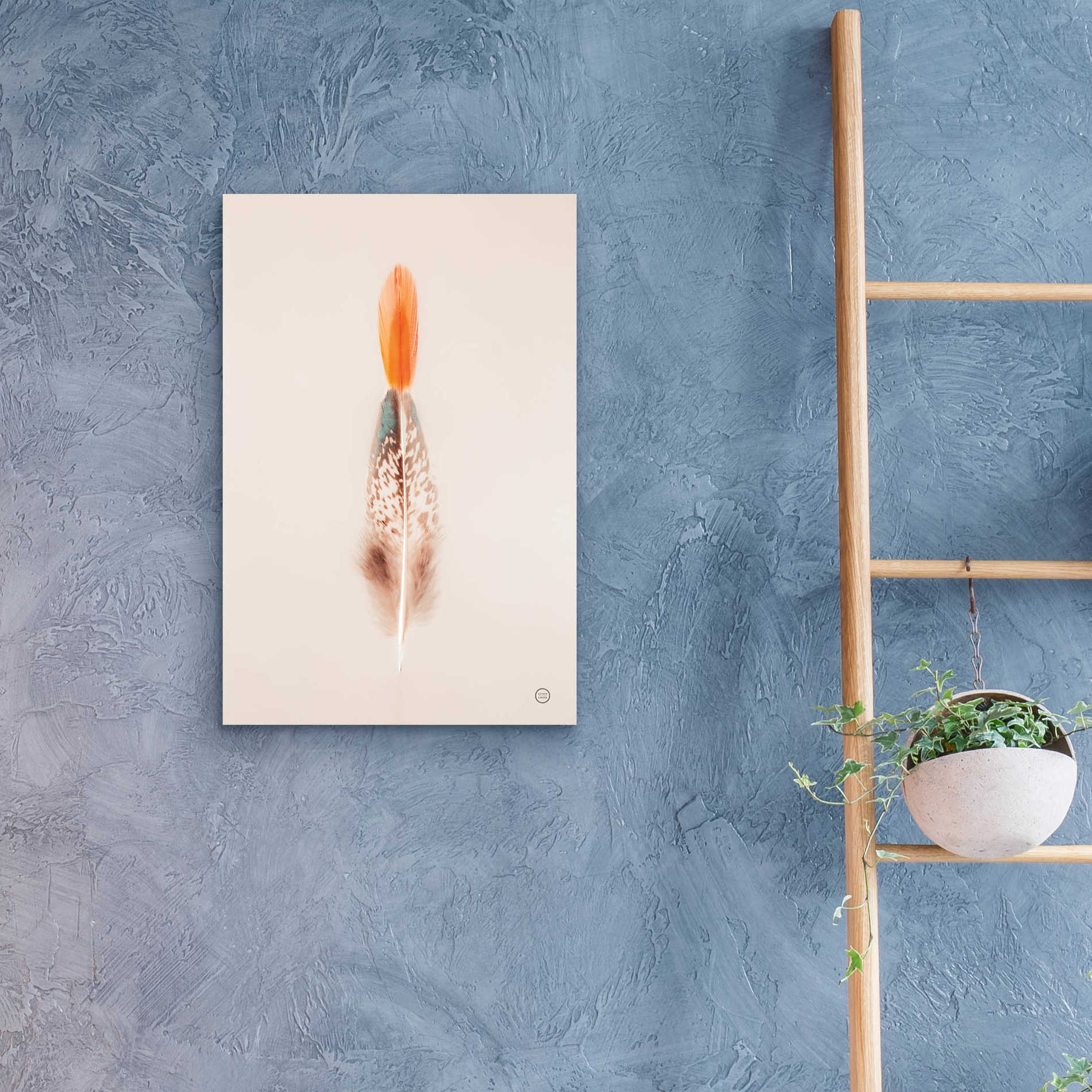 Epic Art 'Floating Feathers I' by Nathan Larson, Acrylic Glass Wall Art,16x24