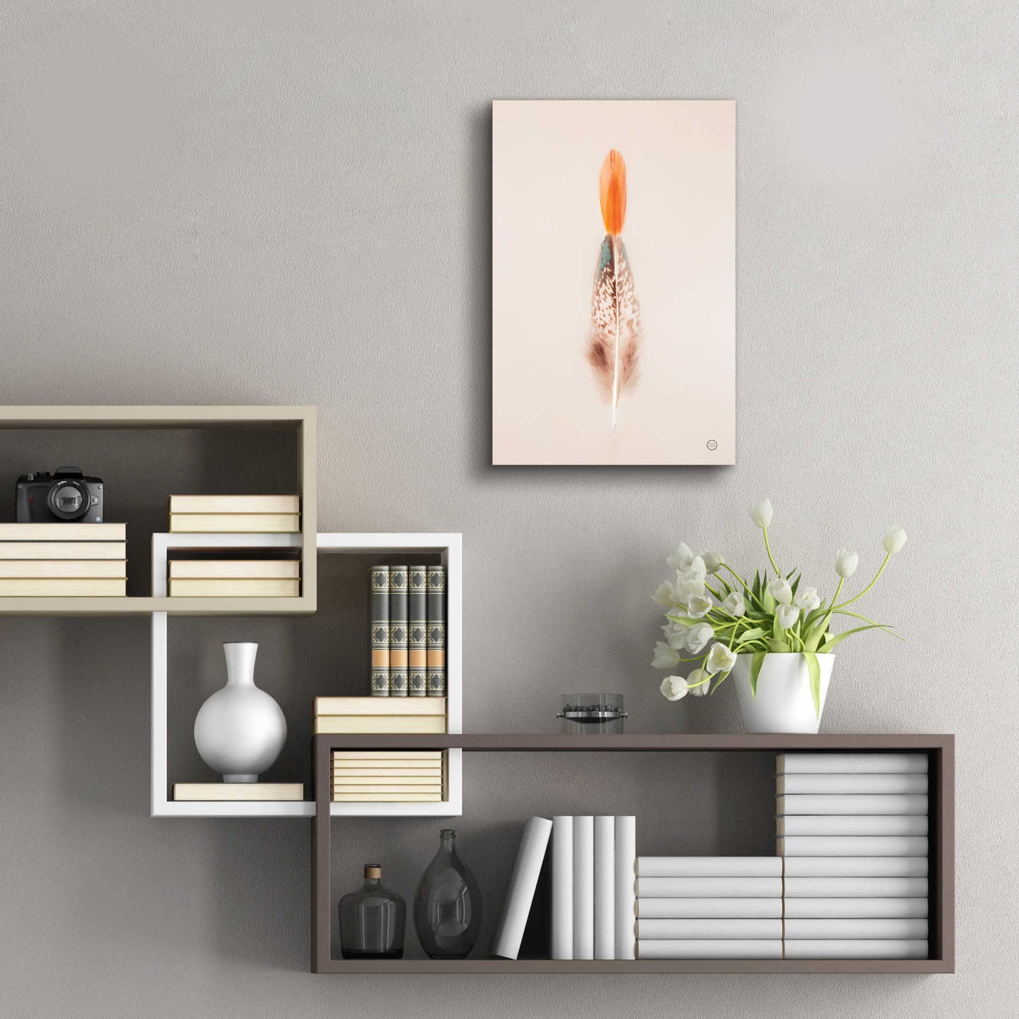 Epic Art 'Floating Feathers I' by Nathan Larson, Acrylic Glass Wall Art,16x24