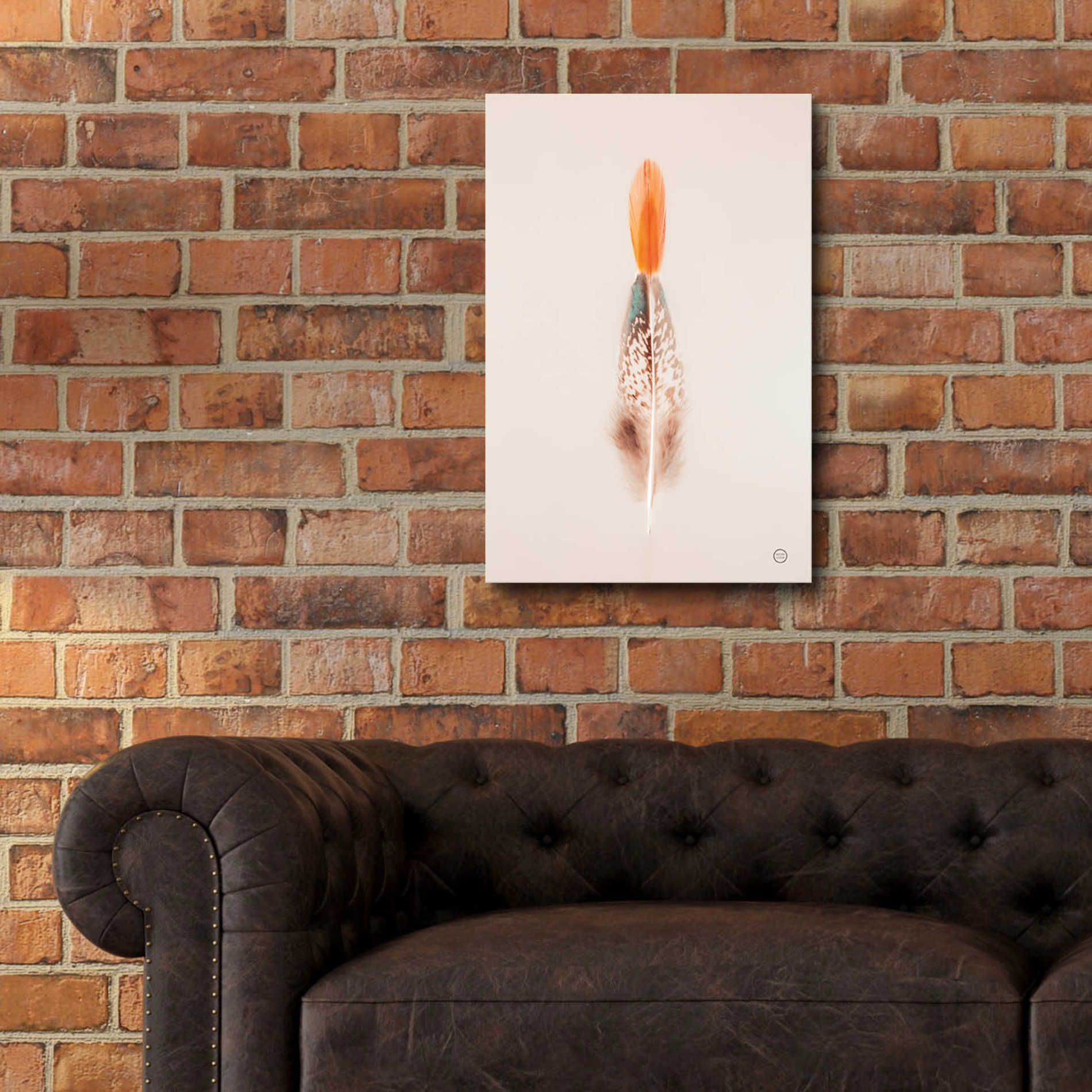 Epic Art 'Floating Feathers I' by Nathan Larson, Acrylic Glass Wall Art,16x24