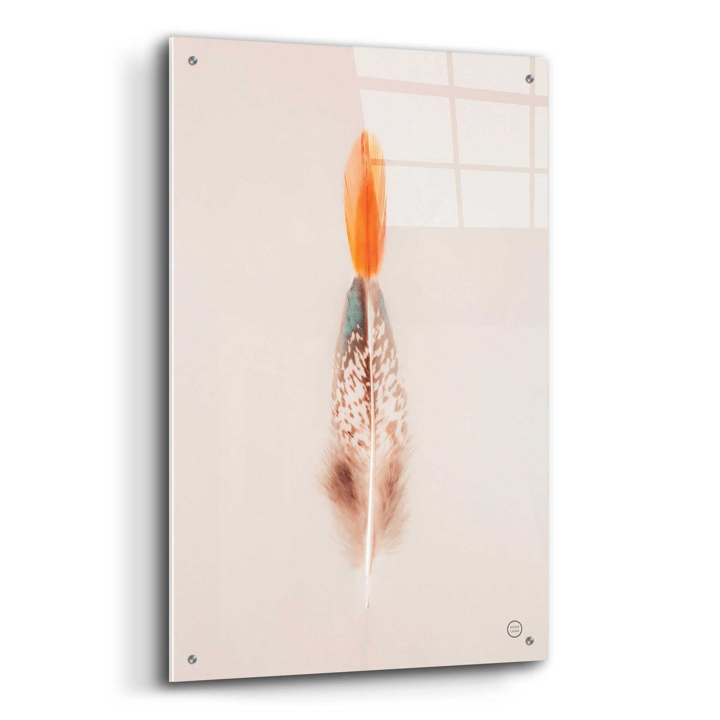 Epic Art 'Floating Feathers I' by Nathan Larson, Acrylic Glass Wall Art,24x36