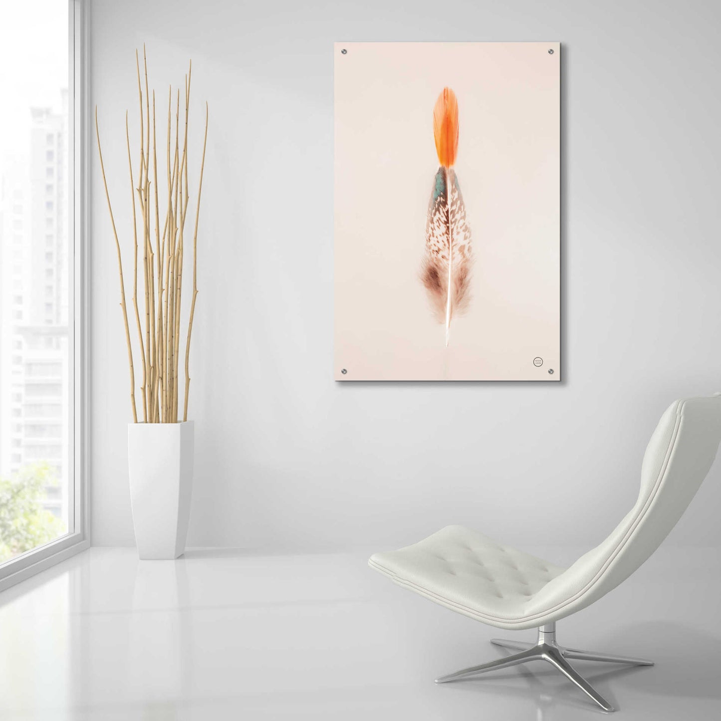 Epic Art 'Floating Feathers I' by Nathan Larson, Acrylic Glass Wall Art,24x36