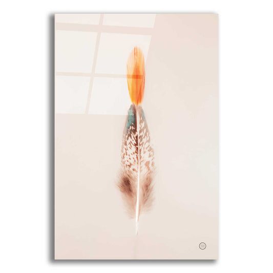 Epic Art 'Floating Feathers I' by Nathan Larson, Acrylic Glass Wall Art,12x18x1.1x0,18x26x1.1x0,26x40x1.74x0,40x60x1.74x0