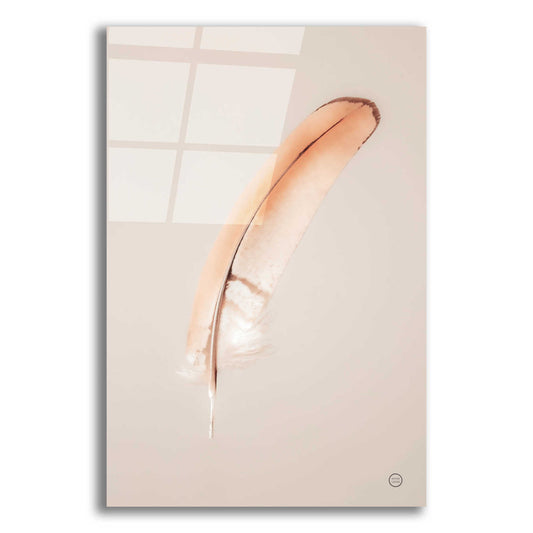 Epic Art 'Floating Feathers III' by Nathan Larson, Acrylic Glass Wall Art,12x18x1.1x0,18x26x1.1x0,26x40x1.74x0,40x60x1.74x0