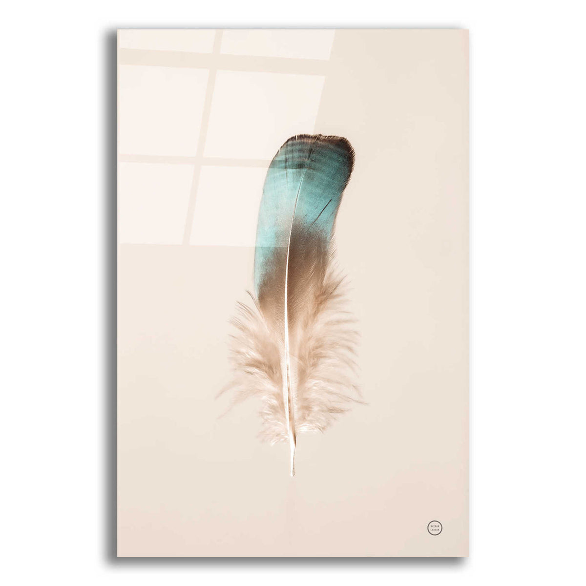 Epic Art 'Floating Feathers IV' by Nathan Larson, Acrylic Glass Wall Art,12x18x1.1x0,18x26x1.1x0,26x40x1.74x0,40x60x1.74x0