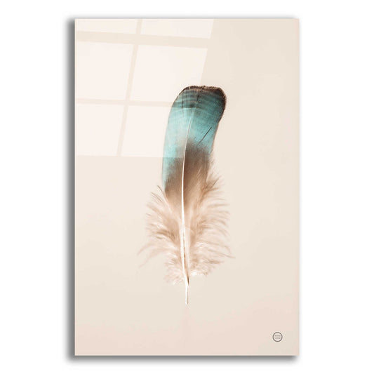 Epic Art 'Floating Feathers IV' by Nathan Larson, Acrylic Glass Wall Art,12x18x1.1x0,18x26x1.1x0,26x40x1.74x0,40x60x1.74x0