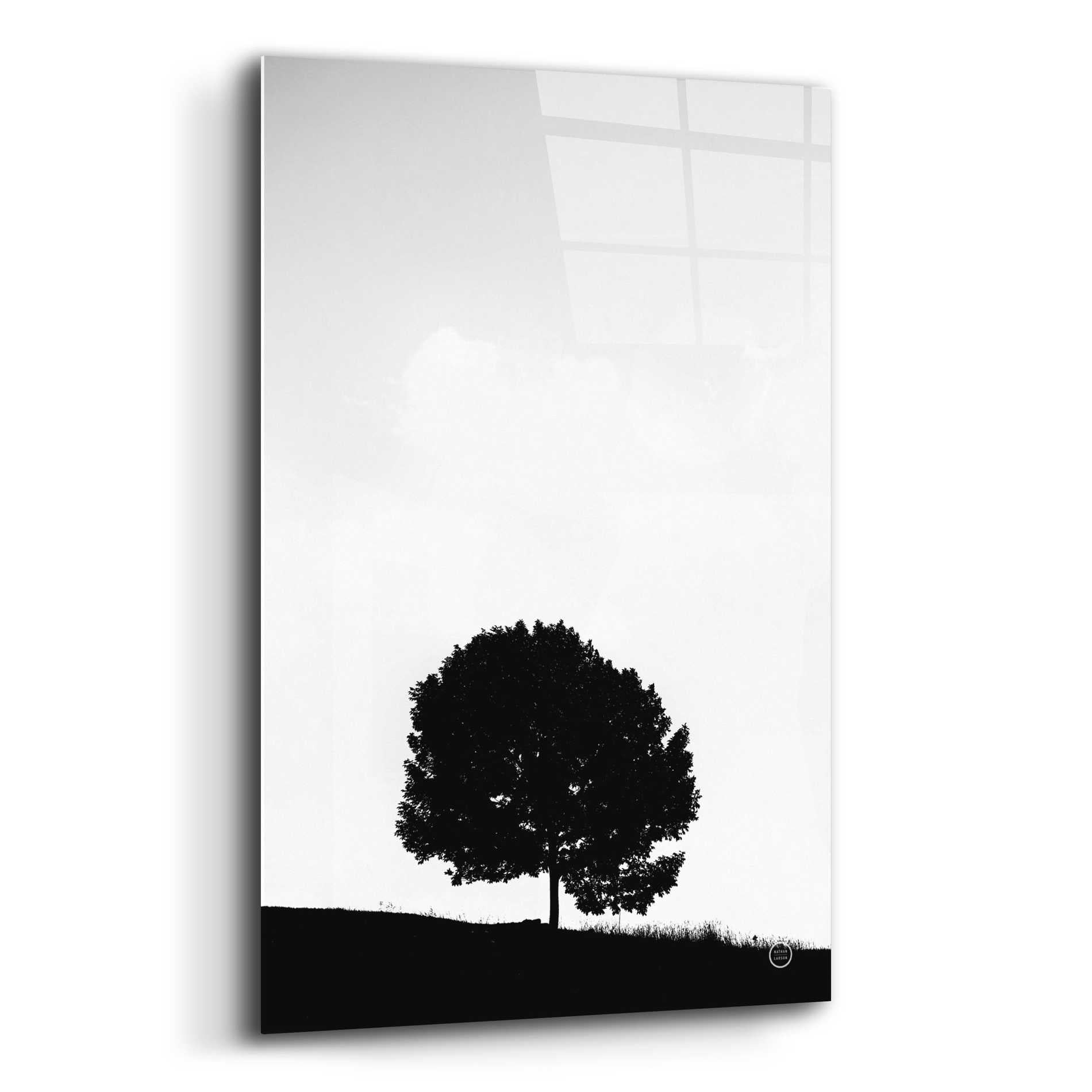 Epic Art 'Lone Tree Hill' by Nathan Larson, Acrylic Glass Wall Art,12x16