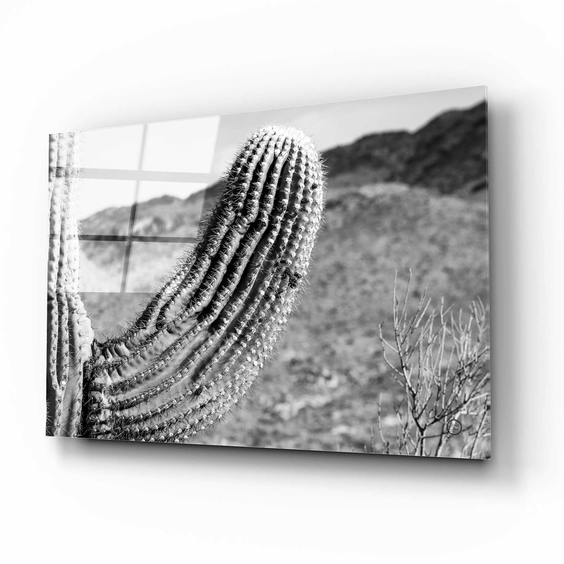 Epic Art 'Saguaro' by Nathan Larson, Acrylic Glass Wall Art,16x12