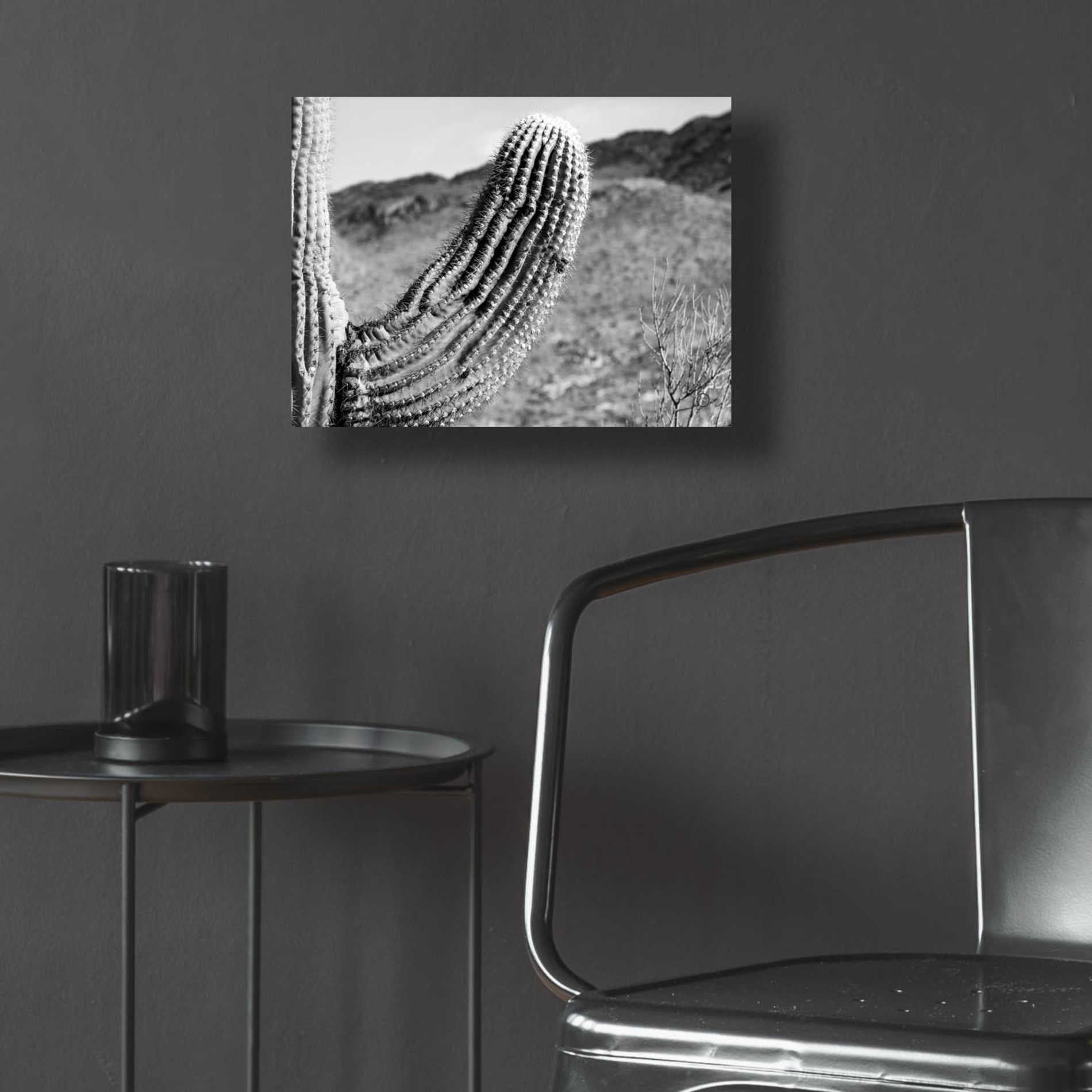 Epic Art 'Saguaro' by Nathan Larson, Acrylic Glass Wall Art,16x12