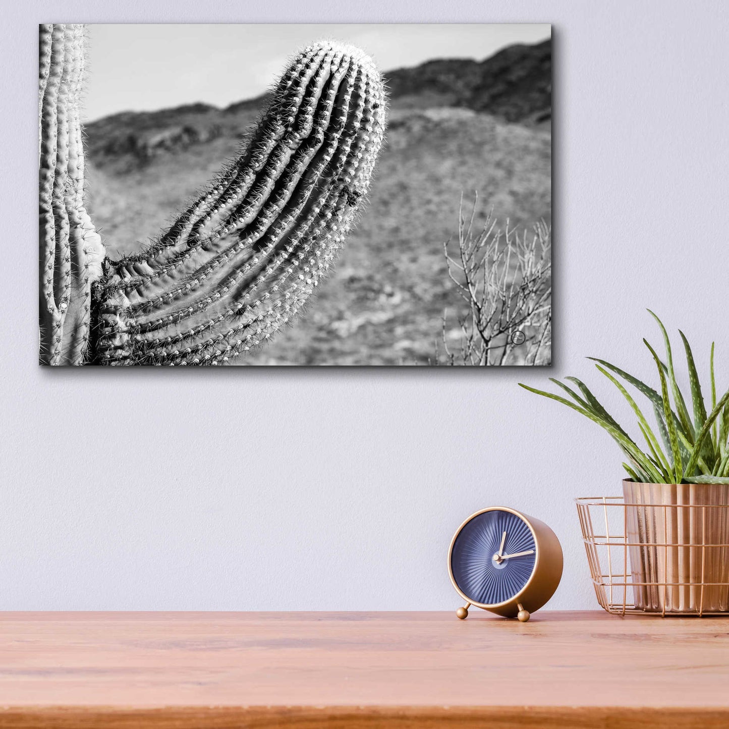 Epic Art 'Saguaro' by Nathan Larson, Acrylic Glass Wall Art,16x12