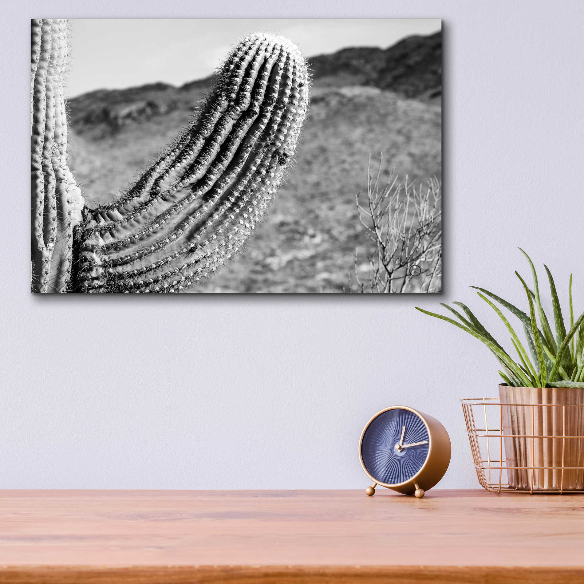 Epic Art 'Saguaro' by Nathan Larson, Acrylic Glass Wall Art,16x12