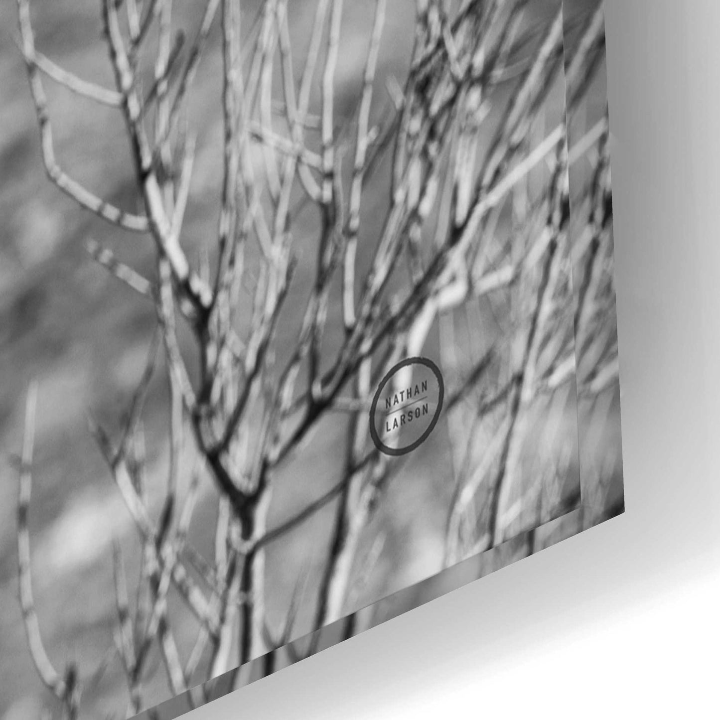 Epic Art 'Saguaro' by Nathan Larson, Acrylic Glass Wall Art,24x16