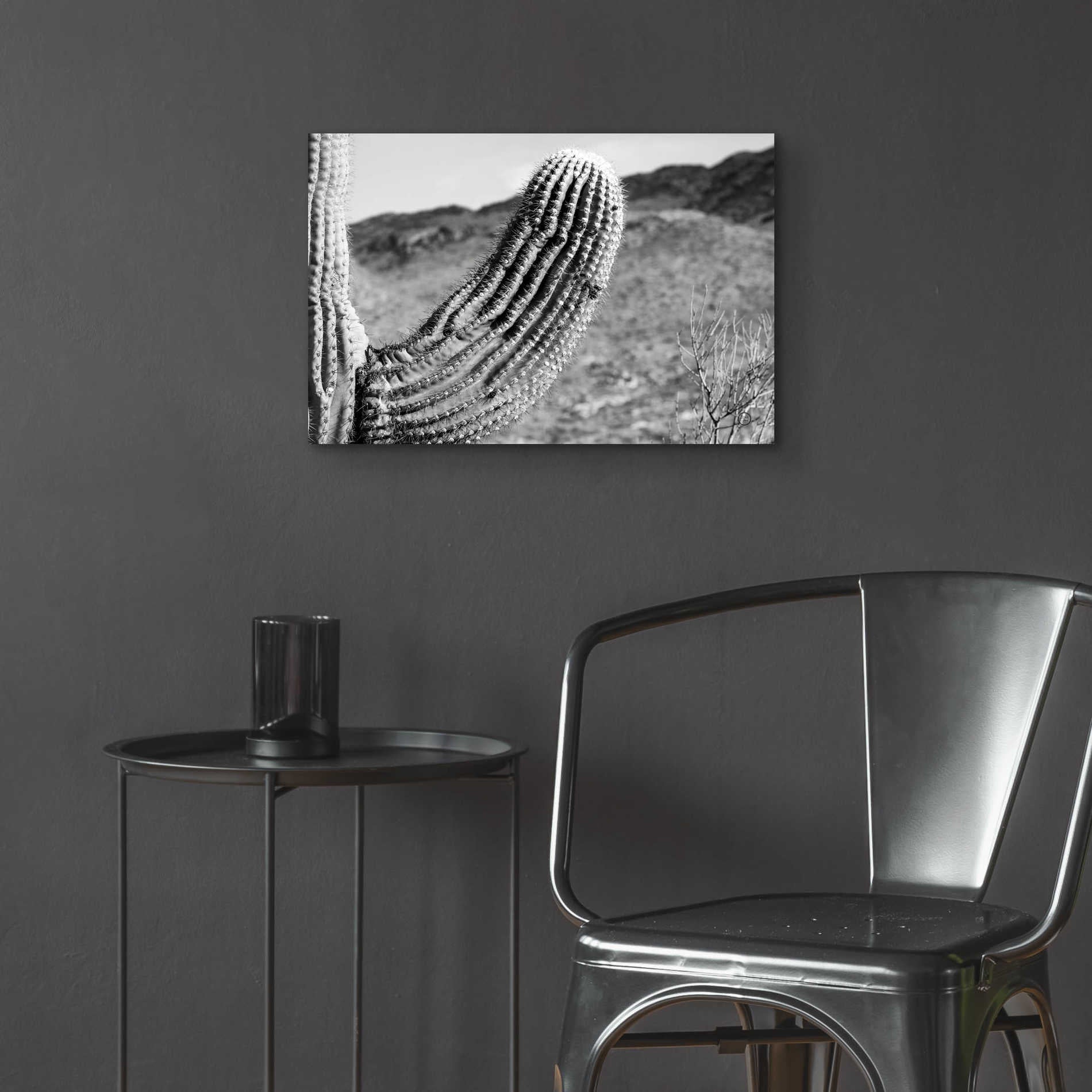 Epic Art 'Saguaro' by Nathan Larson, Acrylic Glass Wall Art,24x16