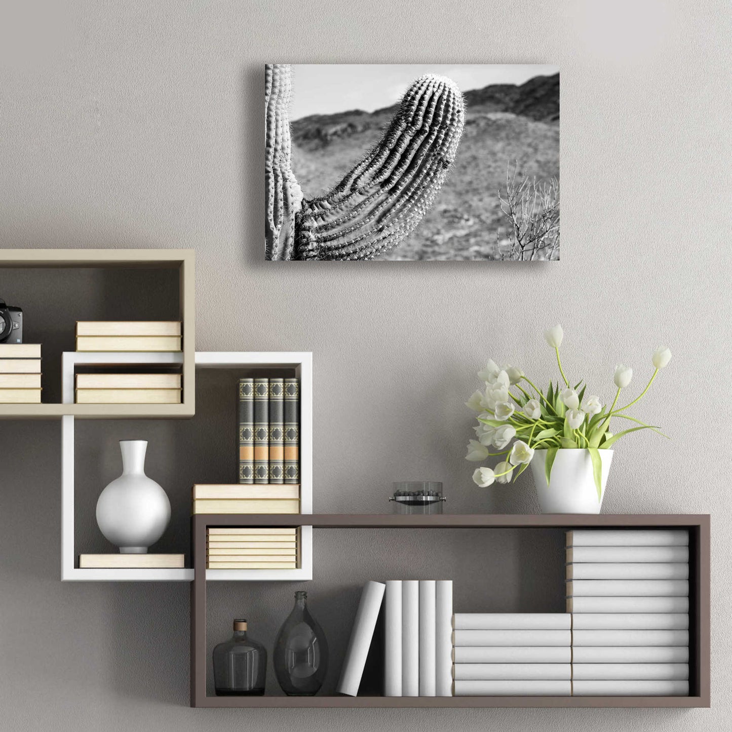 Epic Art 'Saguaro' by Nathan Larson, Acrylic Glass Wall Art,24x16