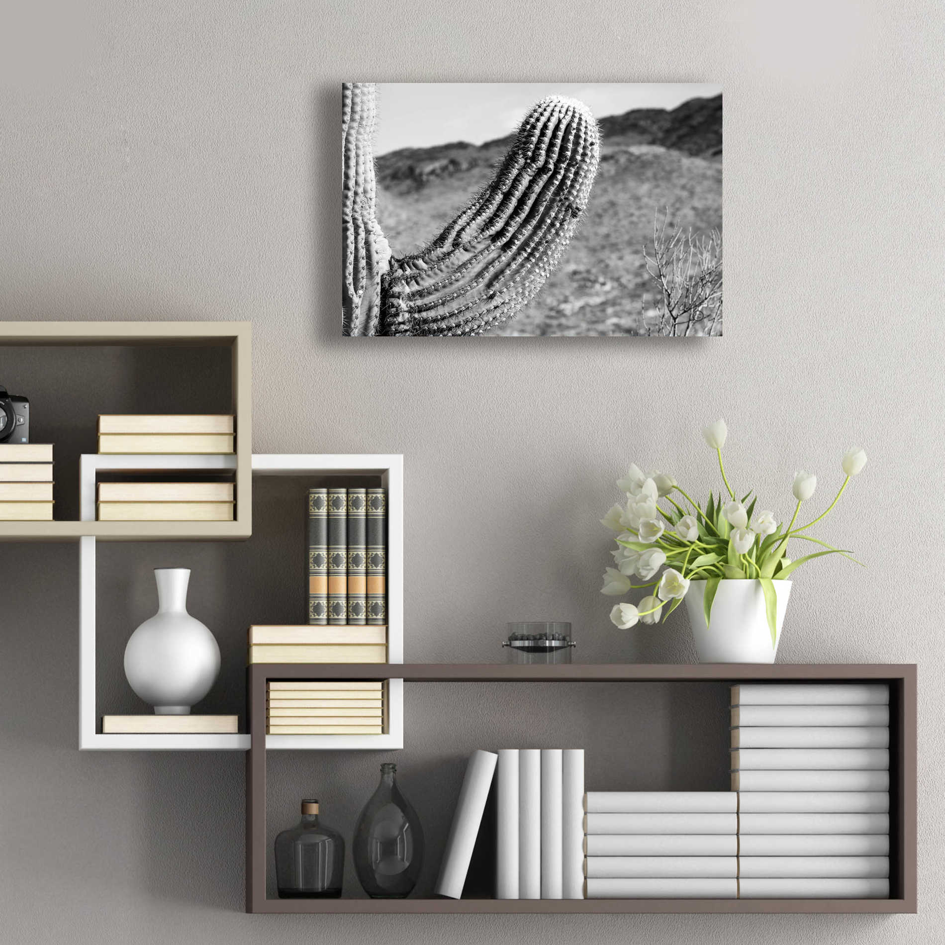 Epic Art 'Saguaro' by Nathan Larson, Acrylic Glass Wall Art,24x16