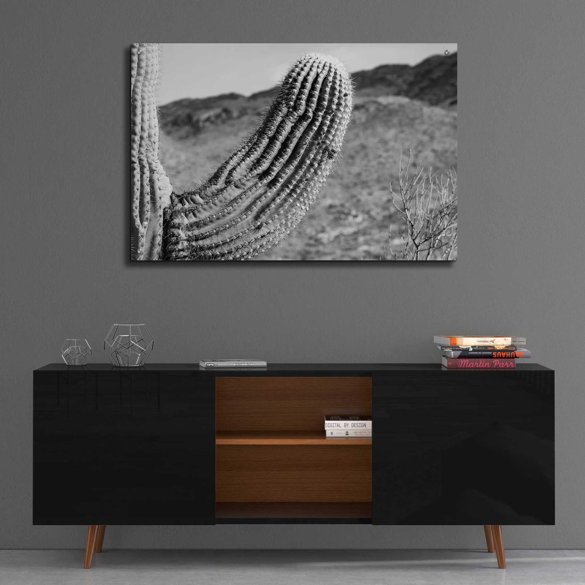 Epic Art 'Saguaro' by Nathan Larson, Acrylic Glass Wall Art,36x24