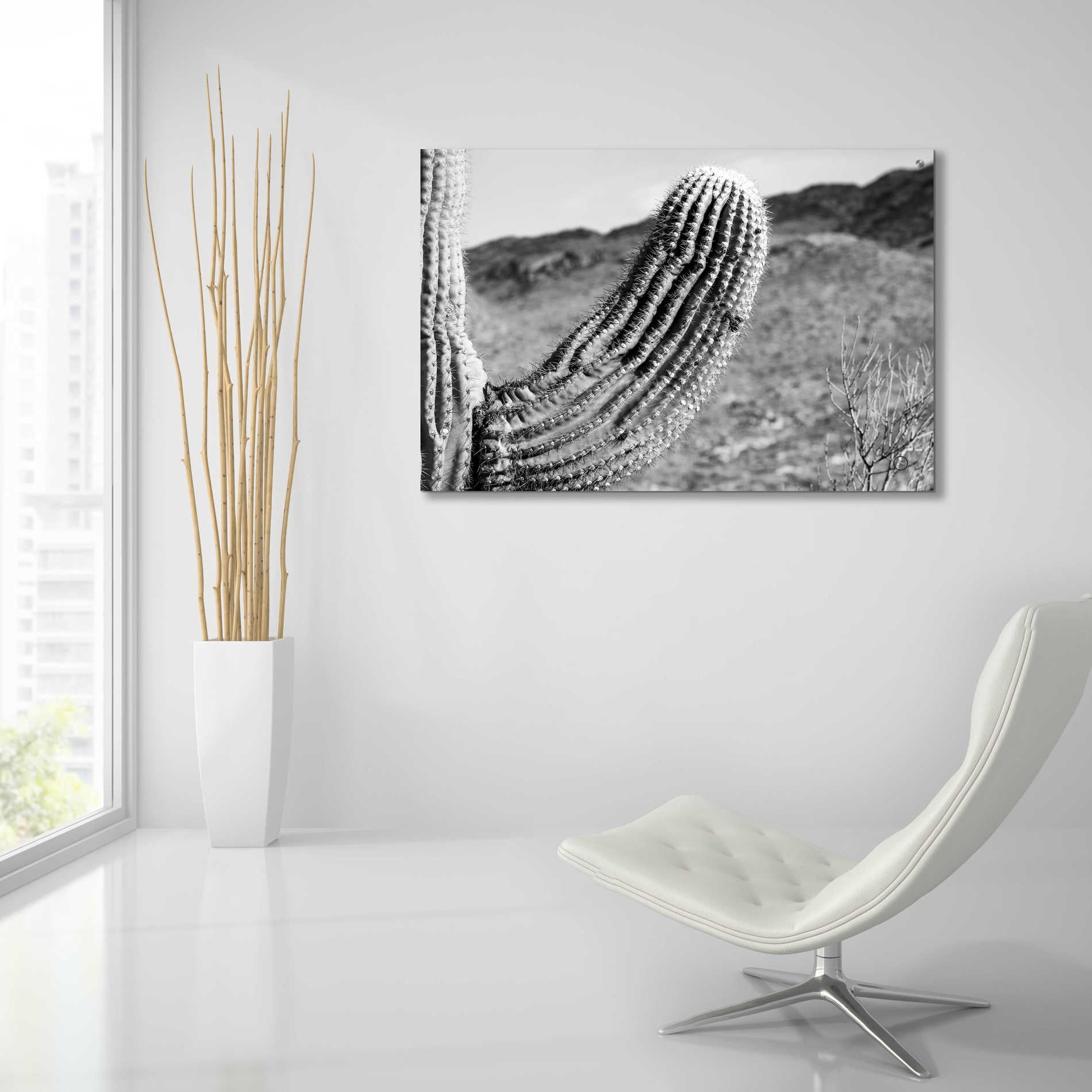 Epic Art 'Saguaro' by Nathan Larson, Acrylic Glass Wall Art,36x24