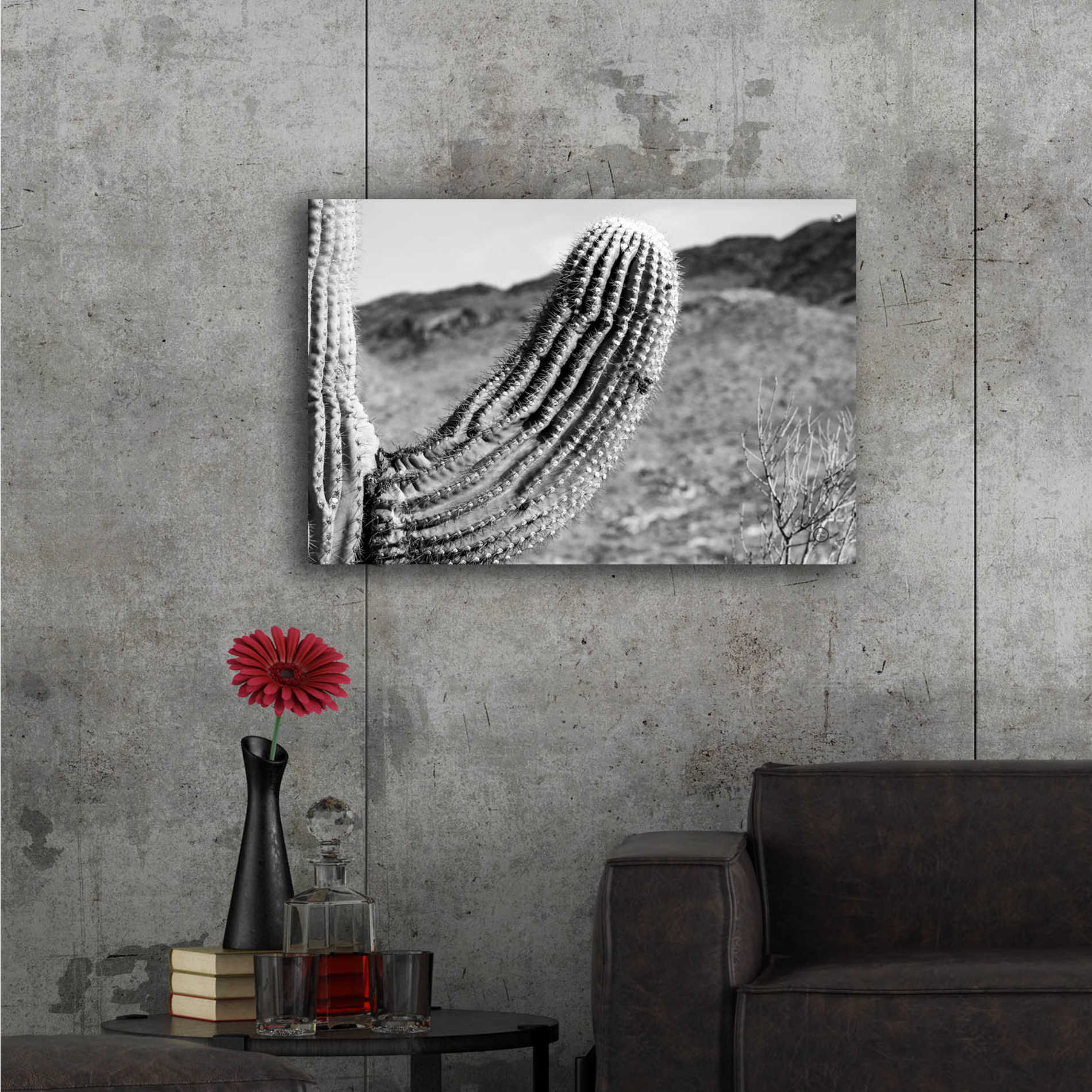 Epic Art 'Saguaro' by Nathan Larson, Acrylic Glass Wall Art,36x24