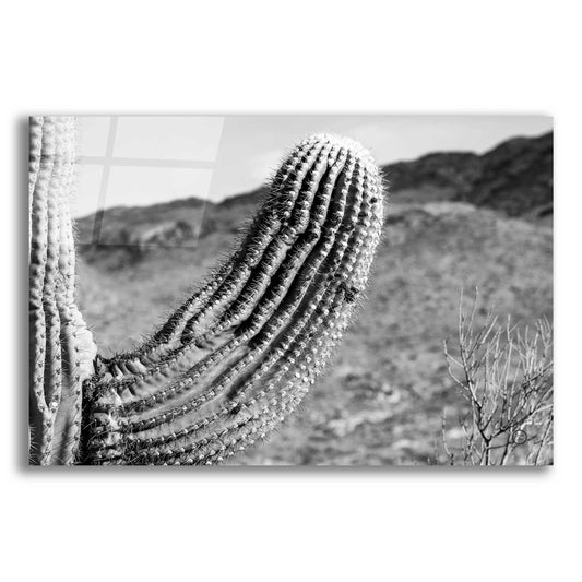 Epic Art 'Saguaro' by Nathan Larson, Acrylic Glass Wall Art,18x12x1.1x0,26x18x1.1x0,40x26x1.74x0,60x40x1.74x0