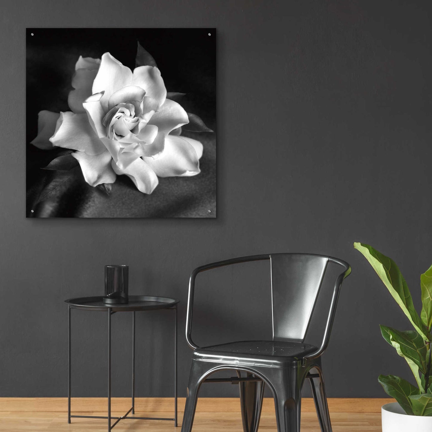 Epic Art 'Gardenia' by Debra Van Swearingen, Acrylic Glass Wall Art,36x36