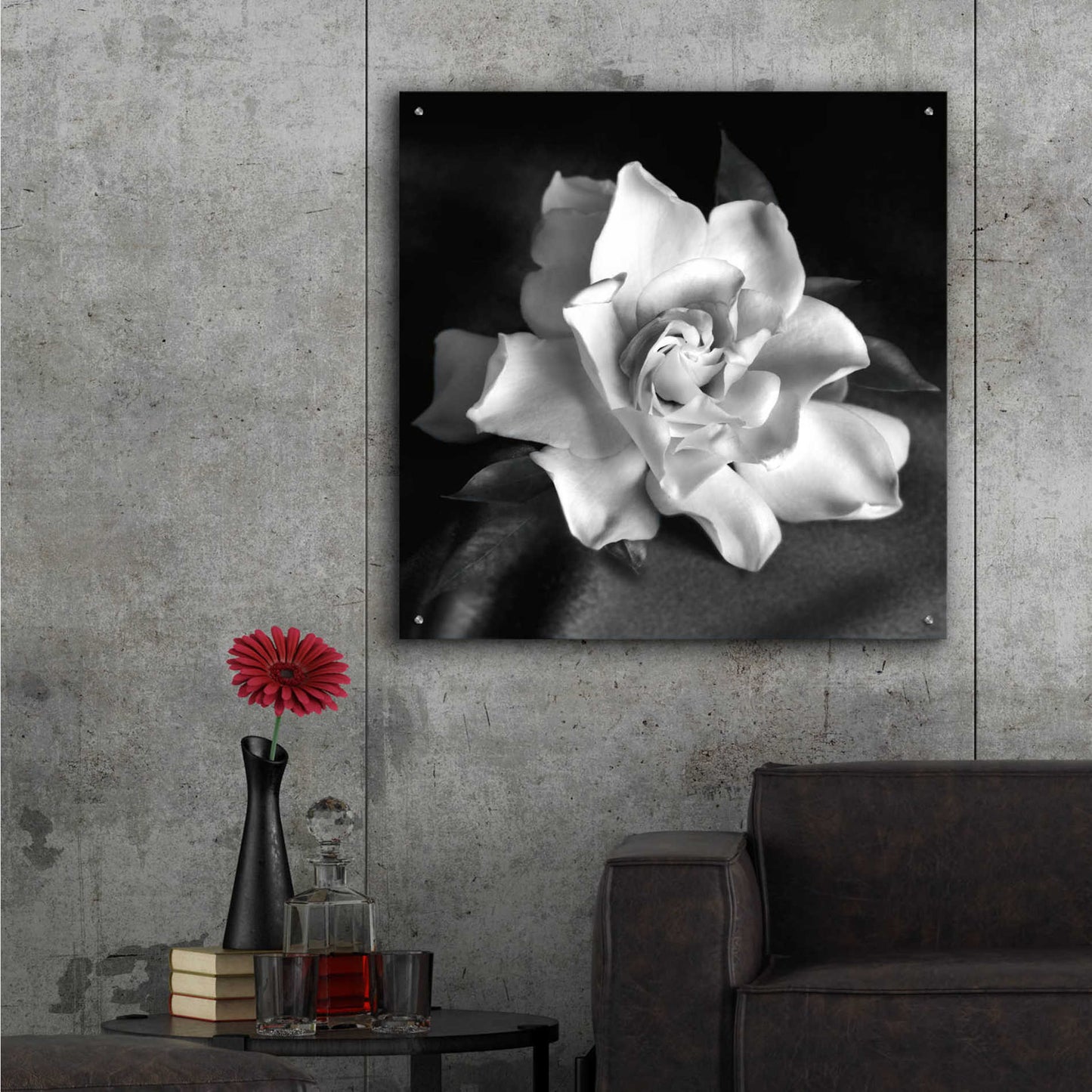 Epic Art 'Gardenia' by Debra Van Swearingen, Acrylic Glass Wall Art,36x36