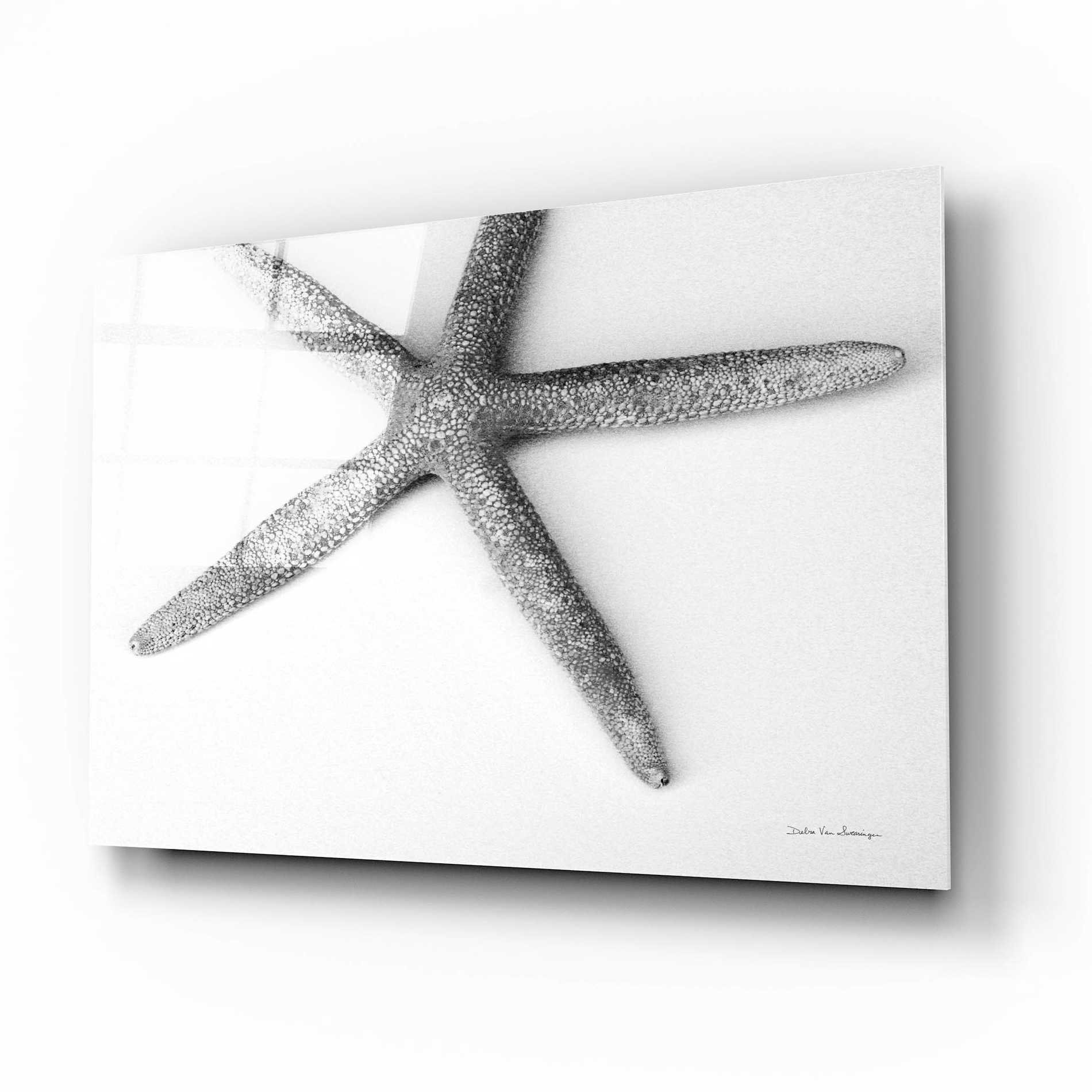 Epic Art 'Starfish Detail' by Debra Van Swearingen, Acrylic Glass Wall Art,16x12