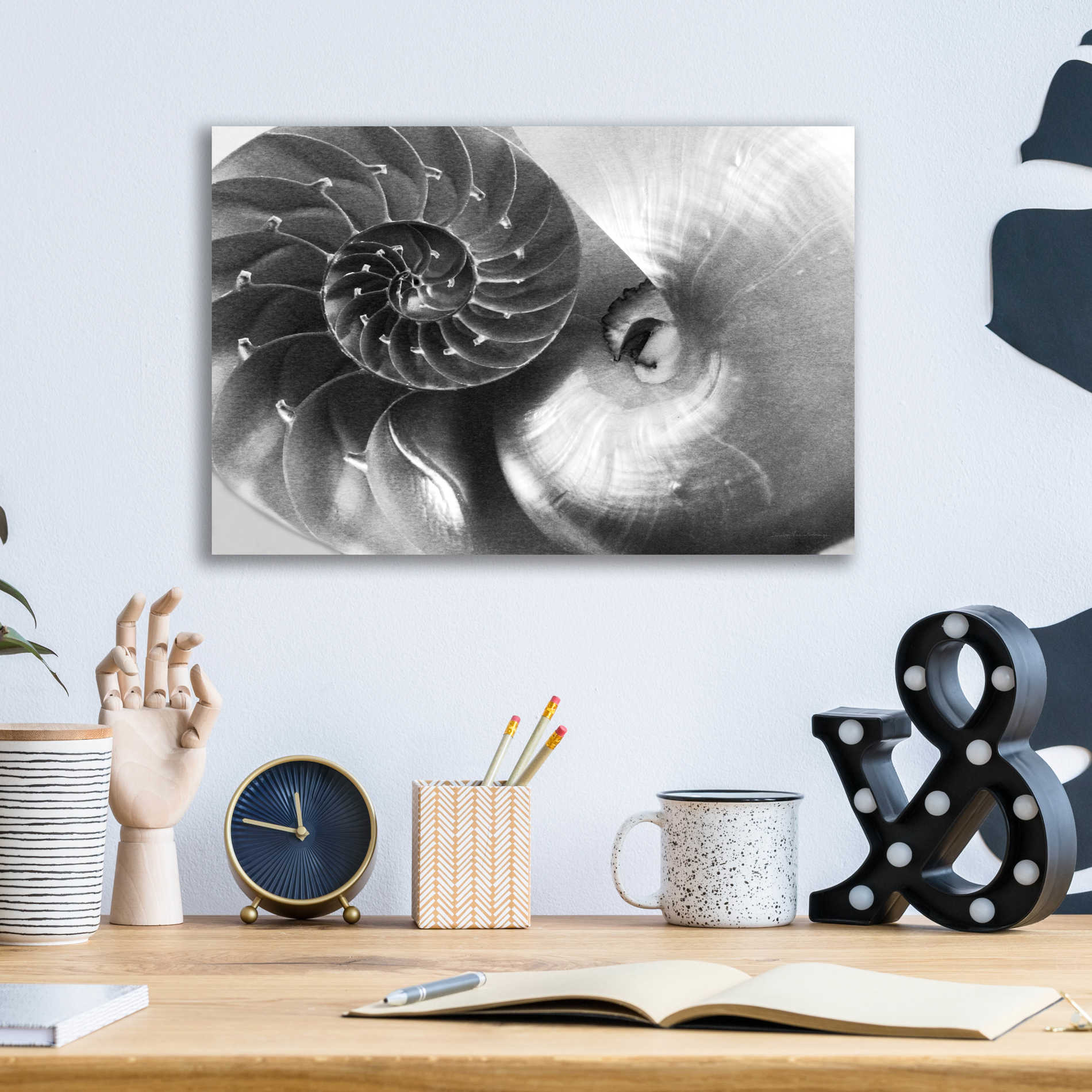 Epic Art 'Nautilus Yin Yang' by Debra Van Swearingen, Acrylic Glass Wall Art,16x12