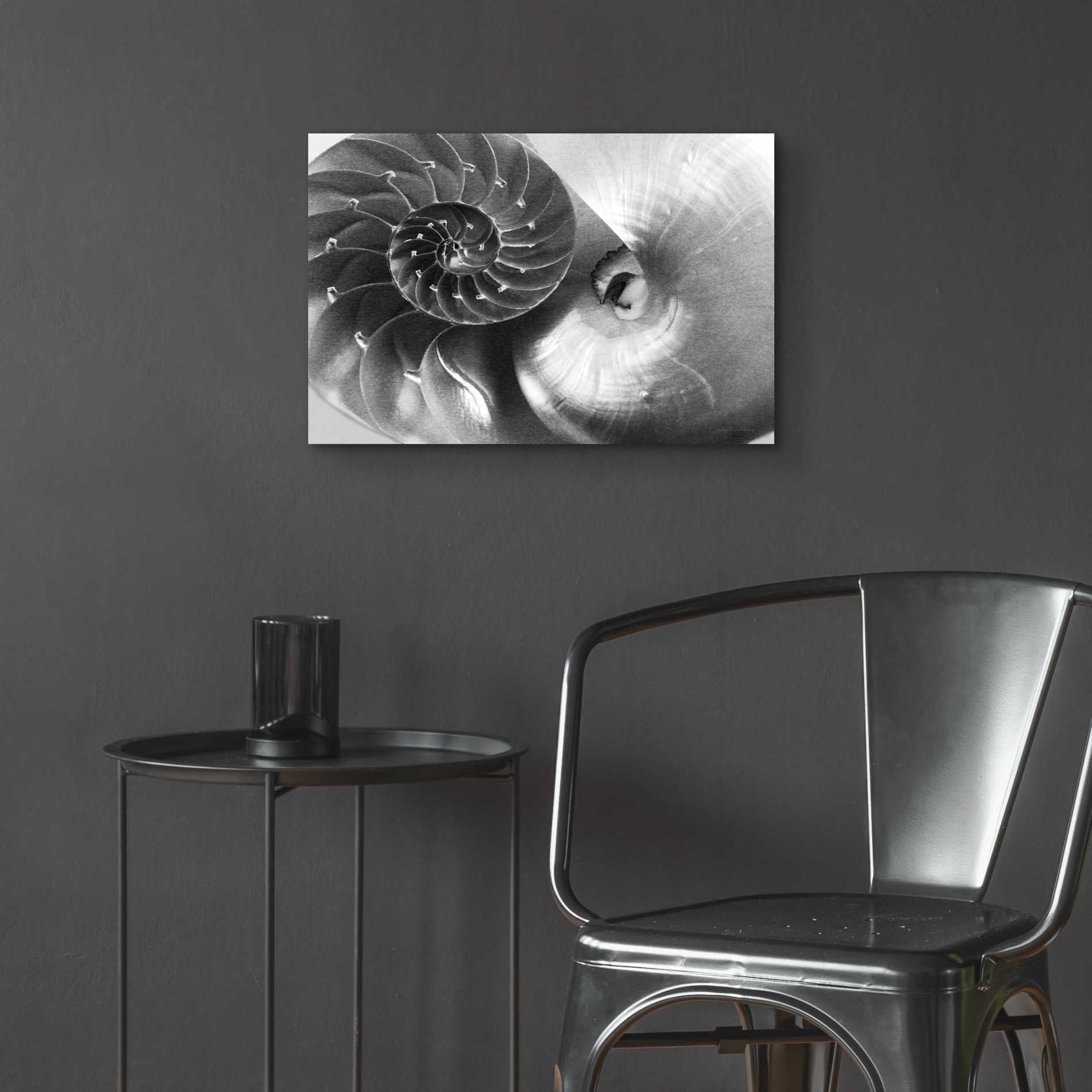 Epic Art 'Nautilus Yin Yang' by Debra Van Swearingen, Acrylic Glass Wall Art,24x16