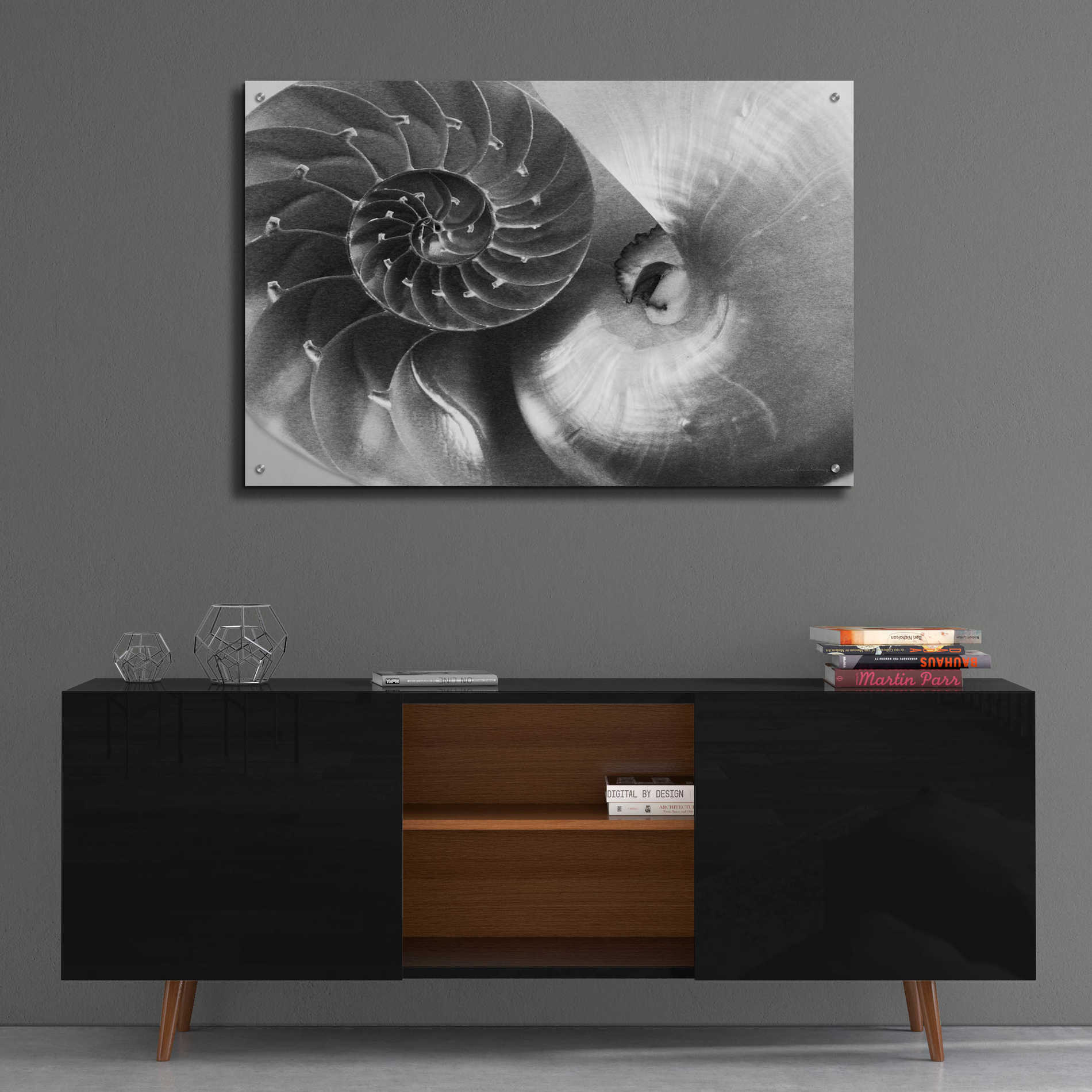 Epic Art 'Nautilus Yin Yang' by Debra Van Swearingen, Acrylic Glass Wall Art,36x24