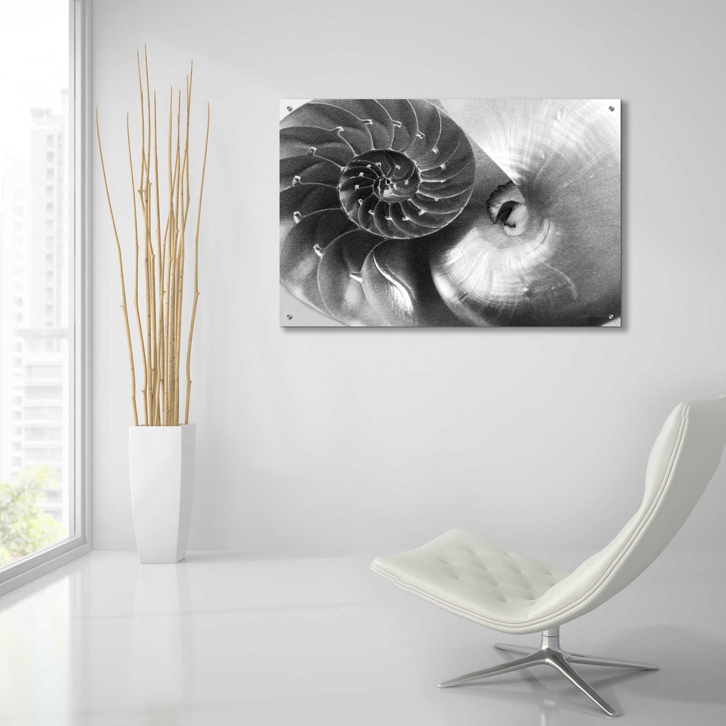 Epic Art 'Nautilus Yin Yang' by Debra Van Swearingen, Acrylic Glass Wall Art,36x24