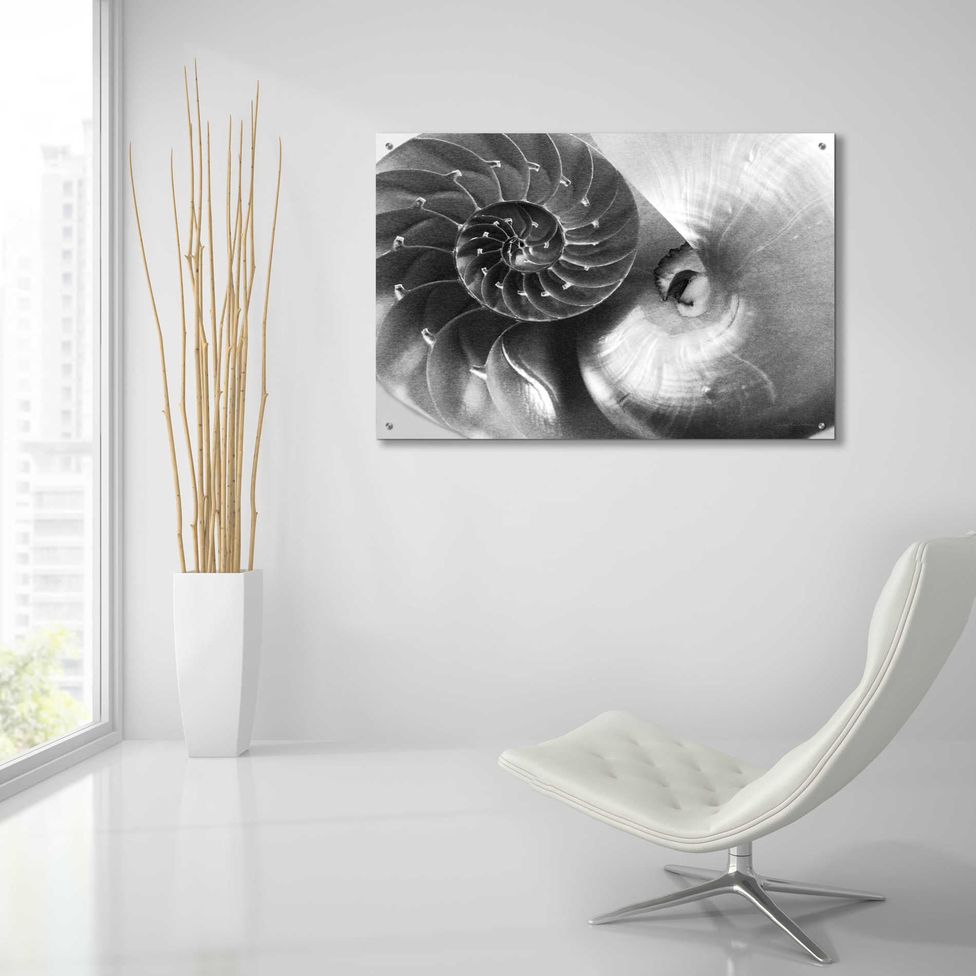 Epic Art 'Nautilus Yin Yang' by Debra Van Swearingen, Acrylic Glass Wall Art,36x24