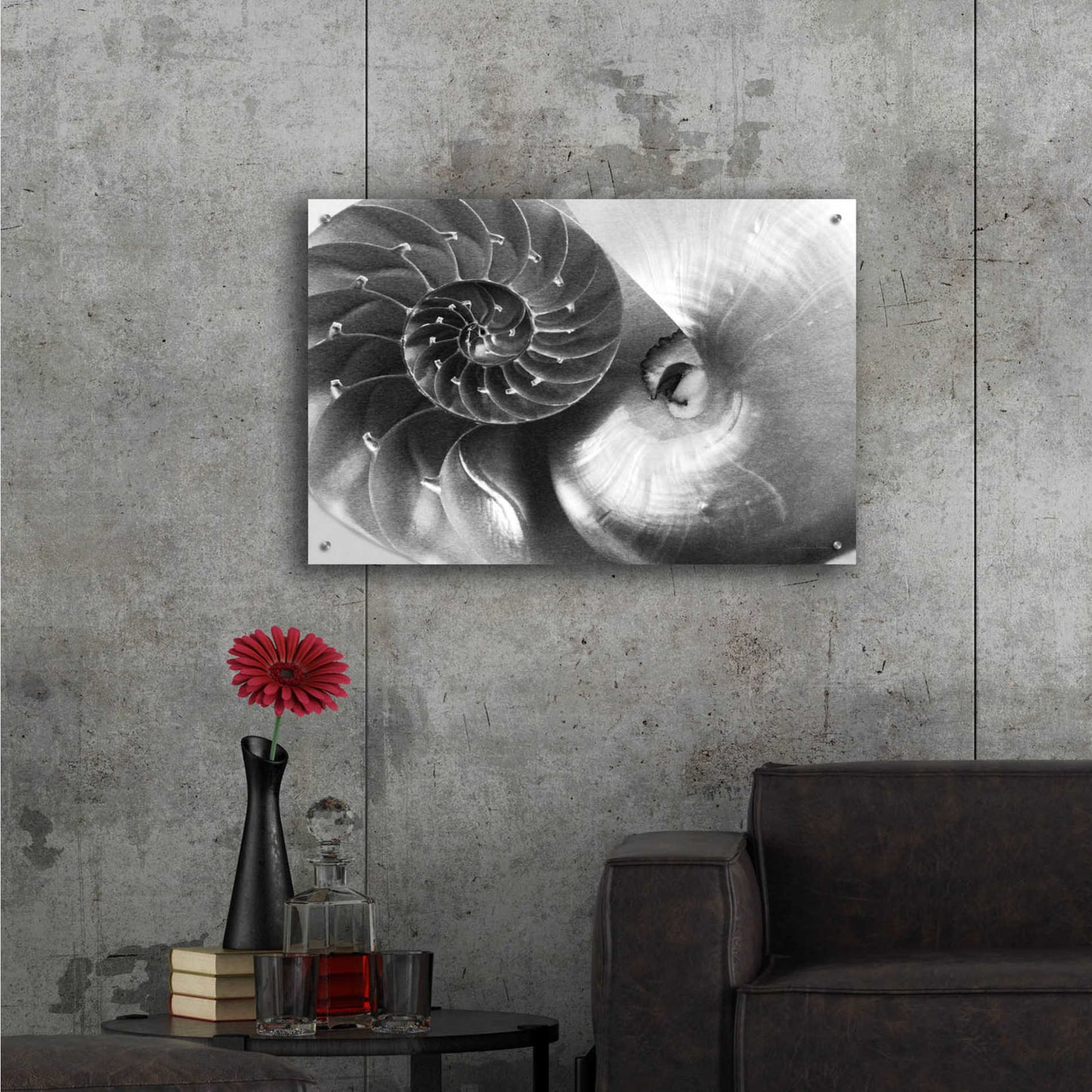 Epic Art 'Nautilus Yin Yang' by Debra Van Swearingen, Acrylic Glass Wall Art,36x24