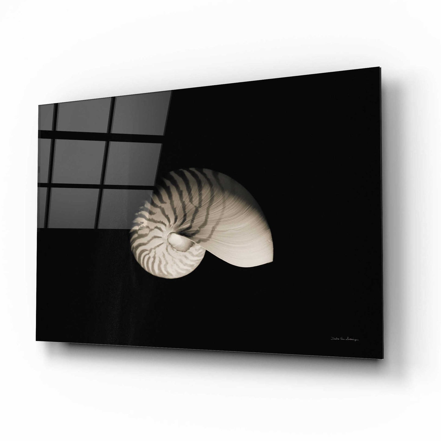 Epic Art 'Nautilus I' by Debra Van Swearingen, Acrylic Glass Wall Art,16x12