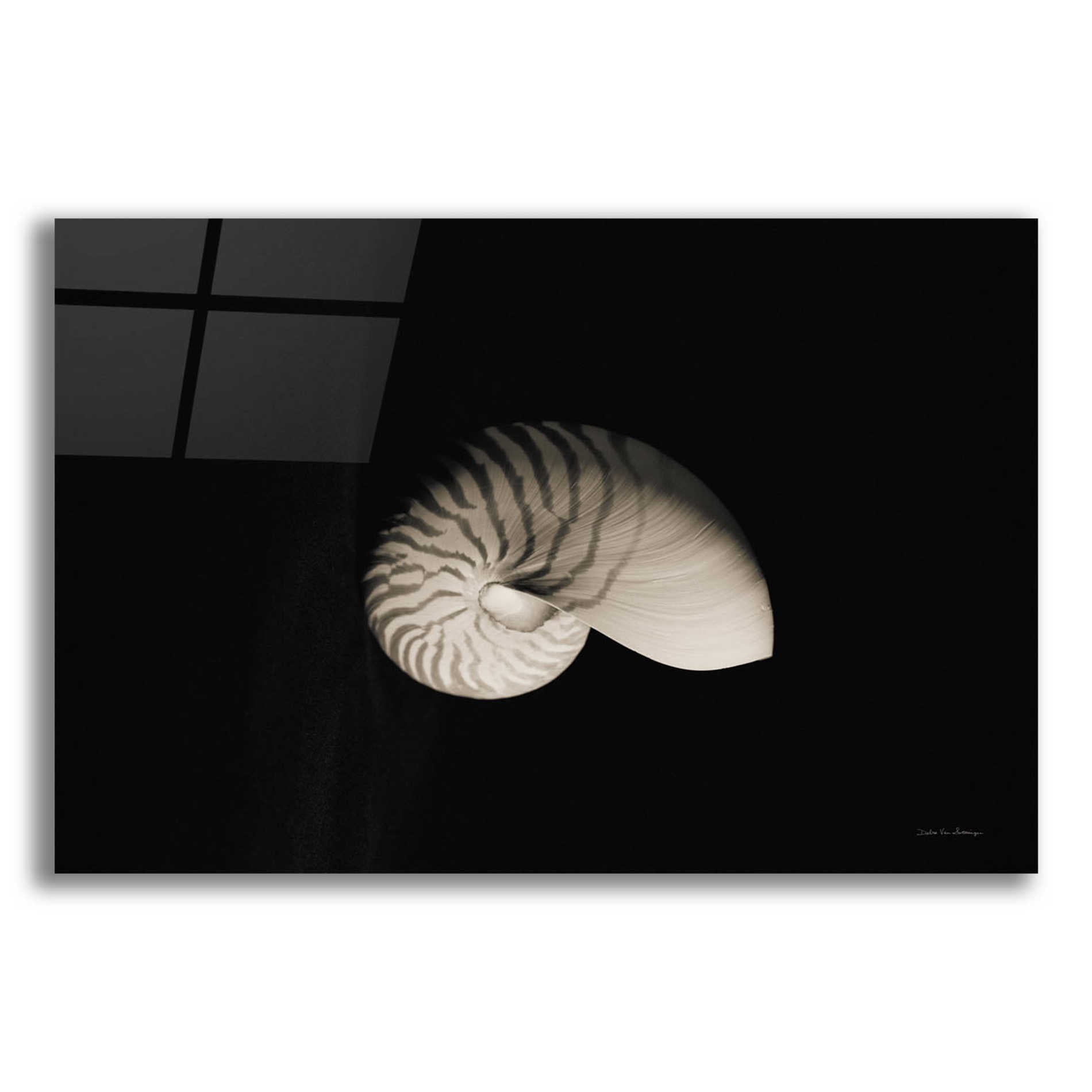 Epic Art 'Nautilus I' by Debra Van Swearingen, Acrylic Glass Wall Art,16x12