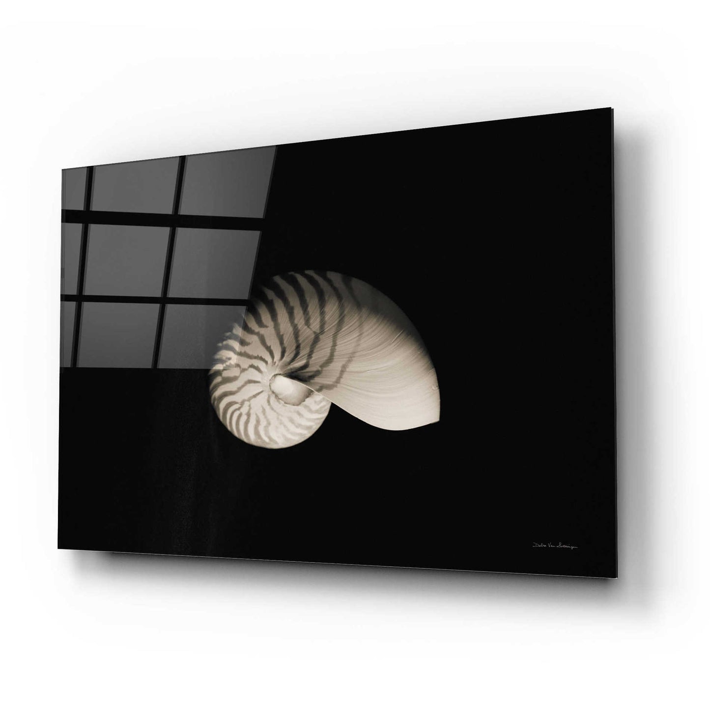 Epic Art 'Nautilus I' by Debra Van Swearingen, Acrylic Glass Wall Art,24x16