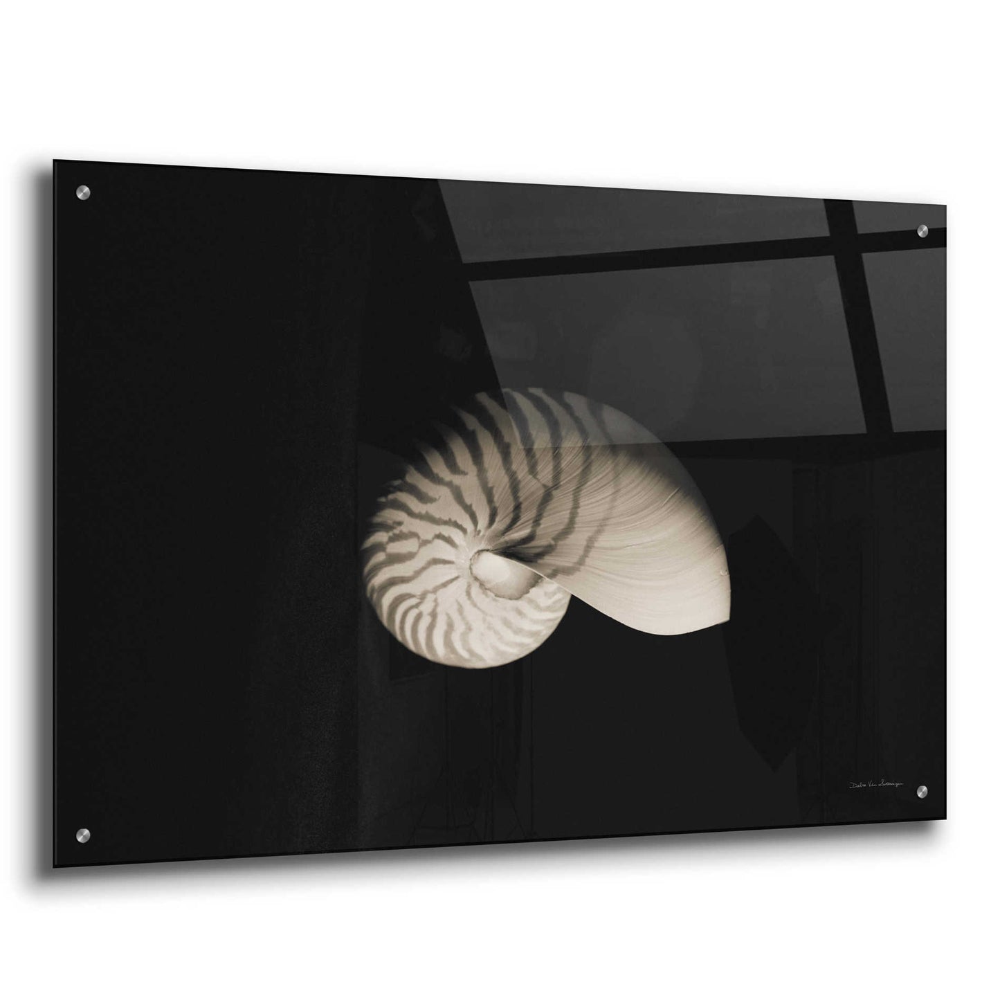 Epic Art 'Nautilus I' by Debra Van Swearingen, Acrylic Glass Wall Art,36x24