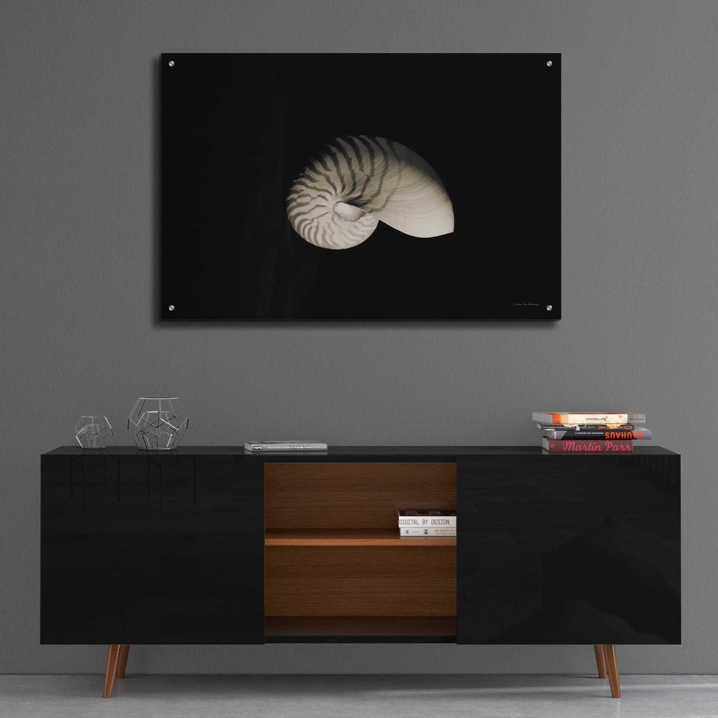 Epic Art 'Nautilus I' by Debra Van Swearingen, Acrylic Glass Wall Art,36x24