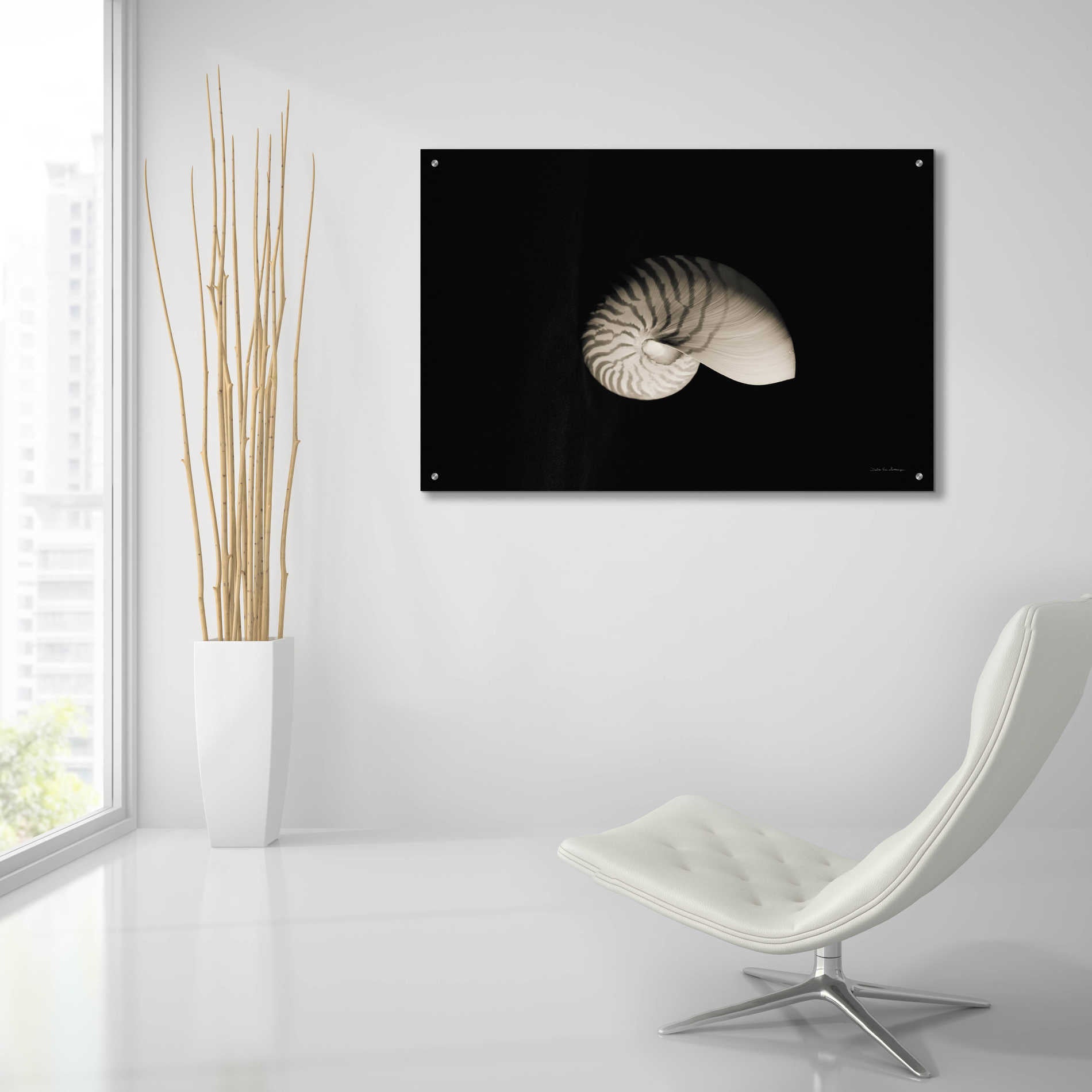 Epic Art 'Nautilus I' by Debra Van Swearingen, Acrylic Glass Wall Art,36x24