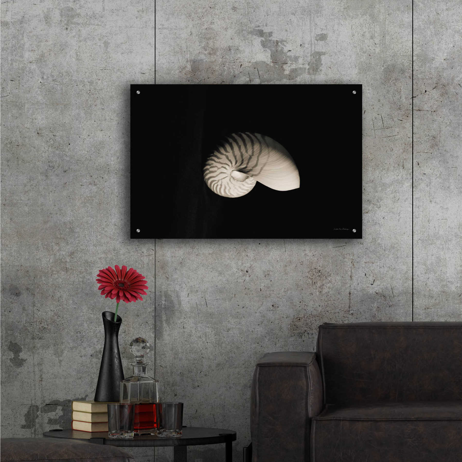 Epic Art 'Nautilus I' by Debra Van Swearingen, Acrylic Glass Wall Art,36x24