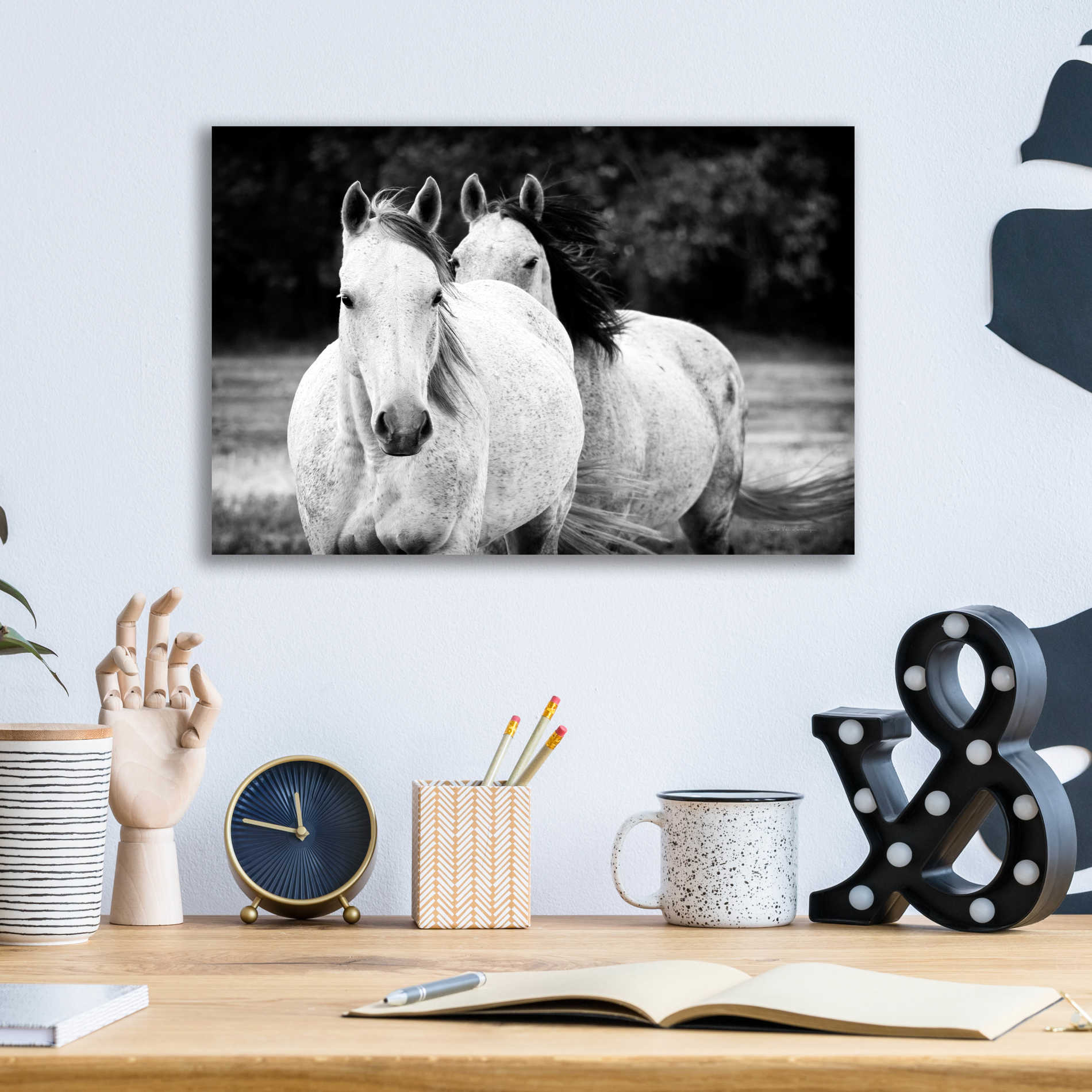 Epic Art 'Two Wild Horses BW' by Debra Van Swearingen, Acrylic Glass Wall Art,16x12